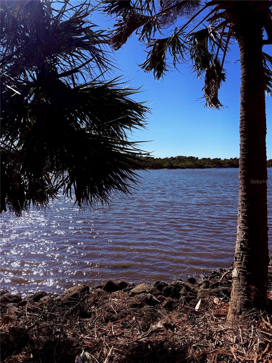 3668 JOHN ANDERSON DR, ORMOND BEACH, FL, 32176