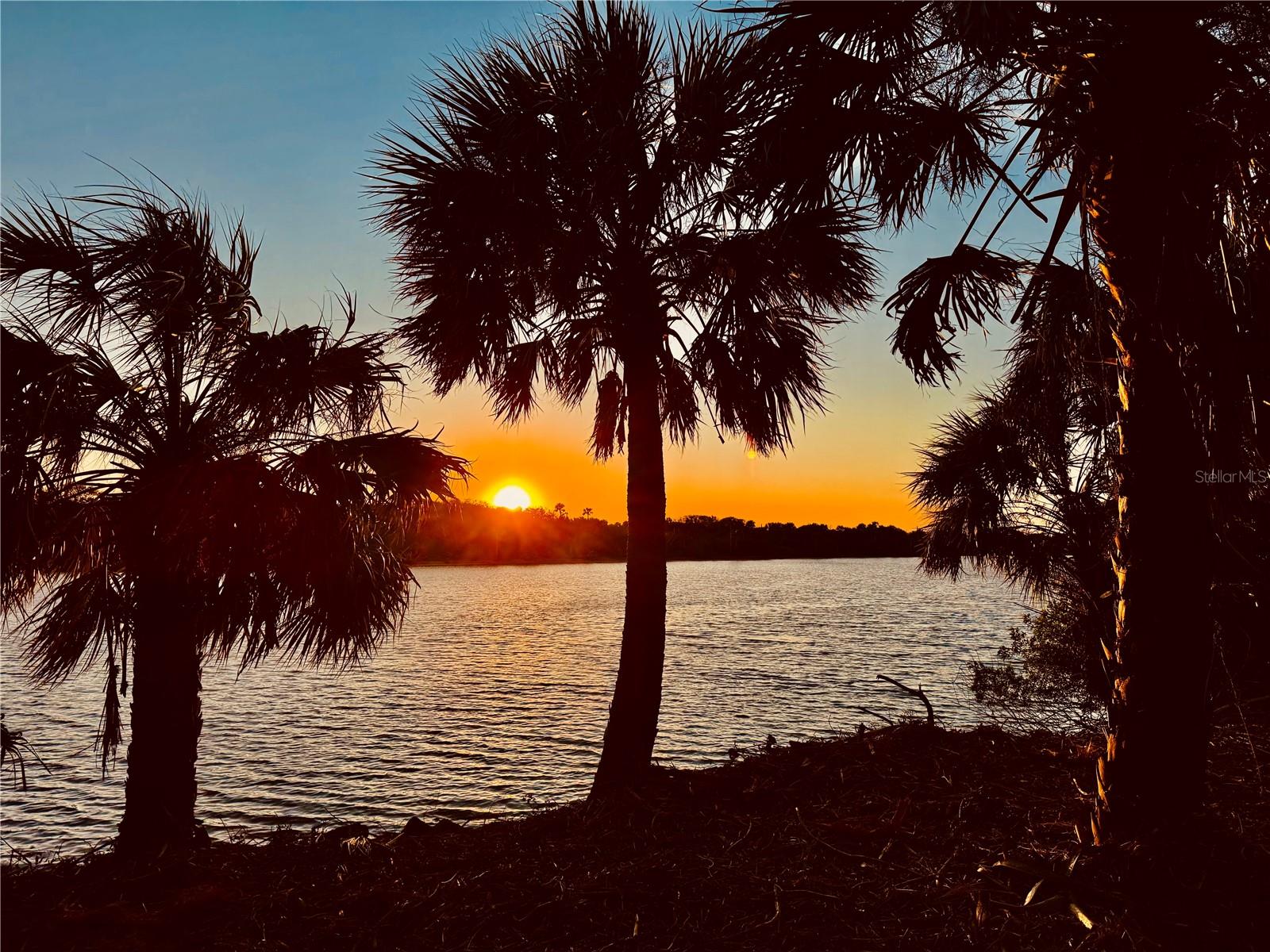 3668 JOHN ANDERSON DR, ORMOND BEACH, FL, 32176