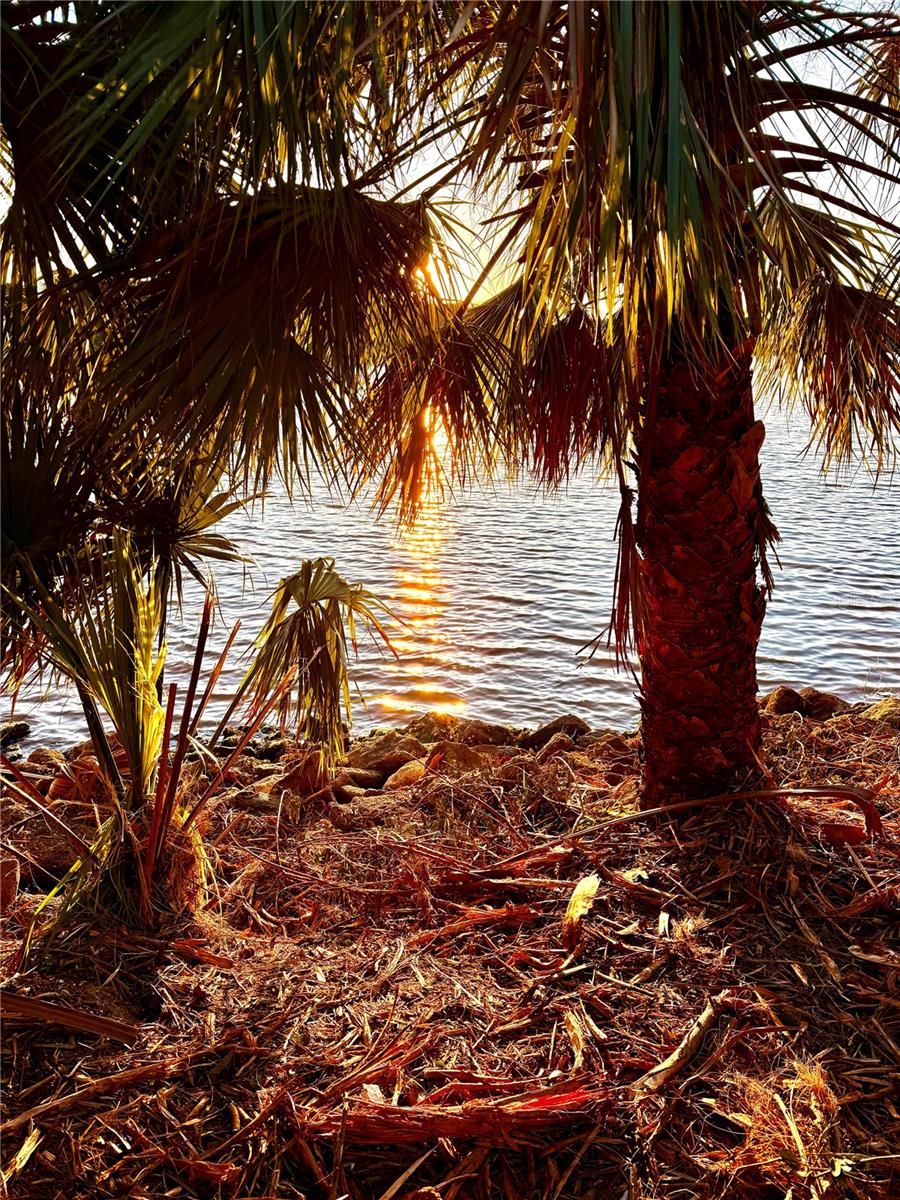 3668 JOHN ANDERSON DR, ORMOND BEACH, FL, 32176