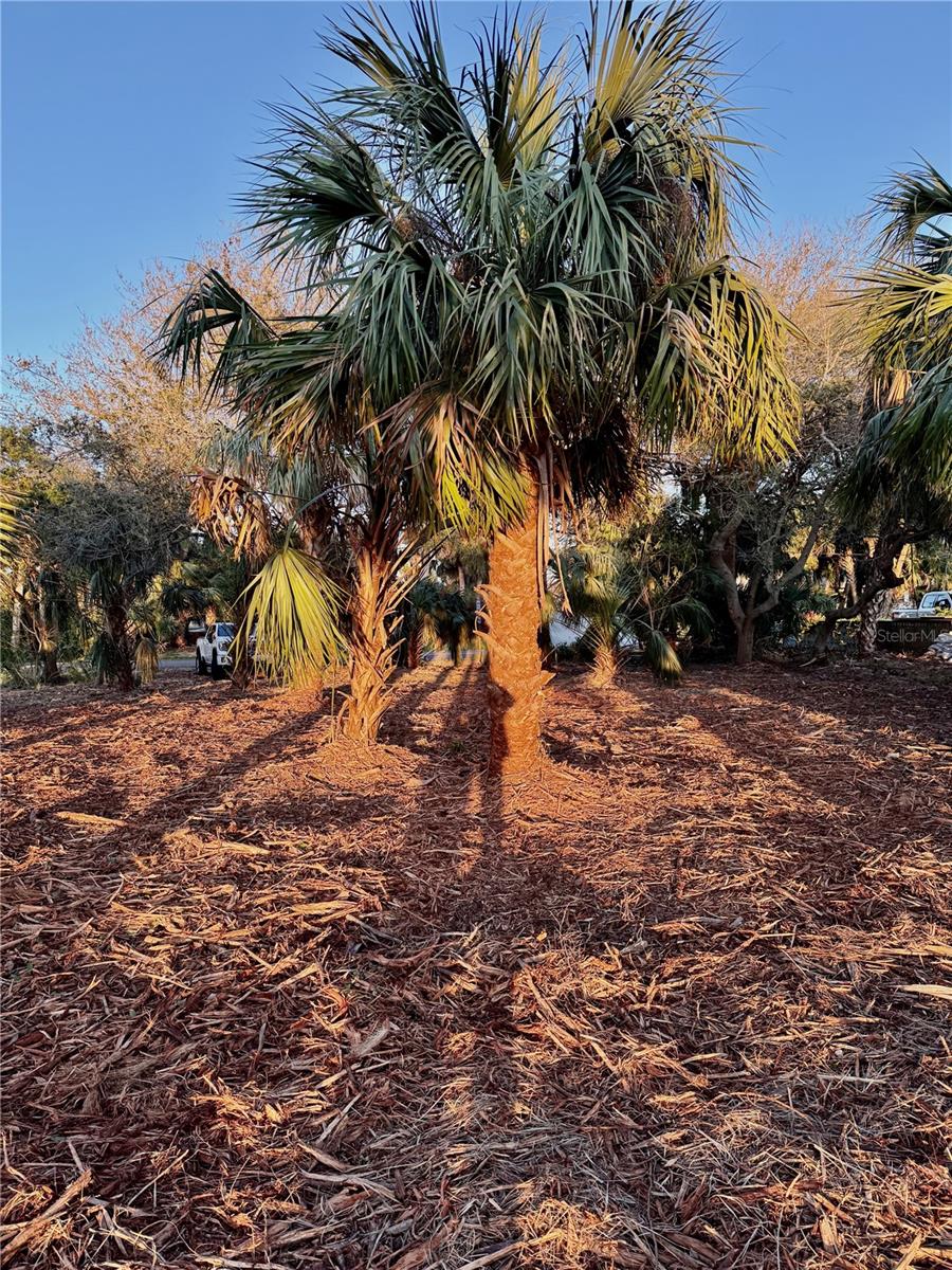 3668 JOHN ANDERSON DR, ORMOND BEACH, FL, 32176