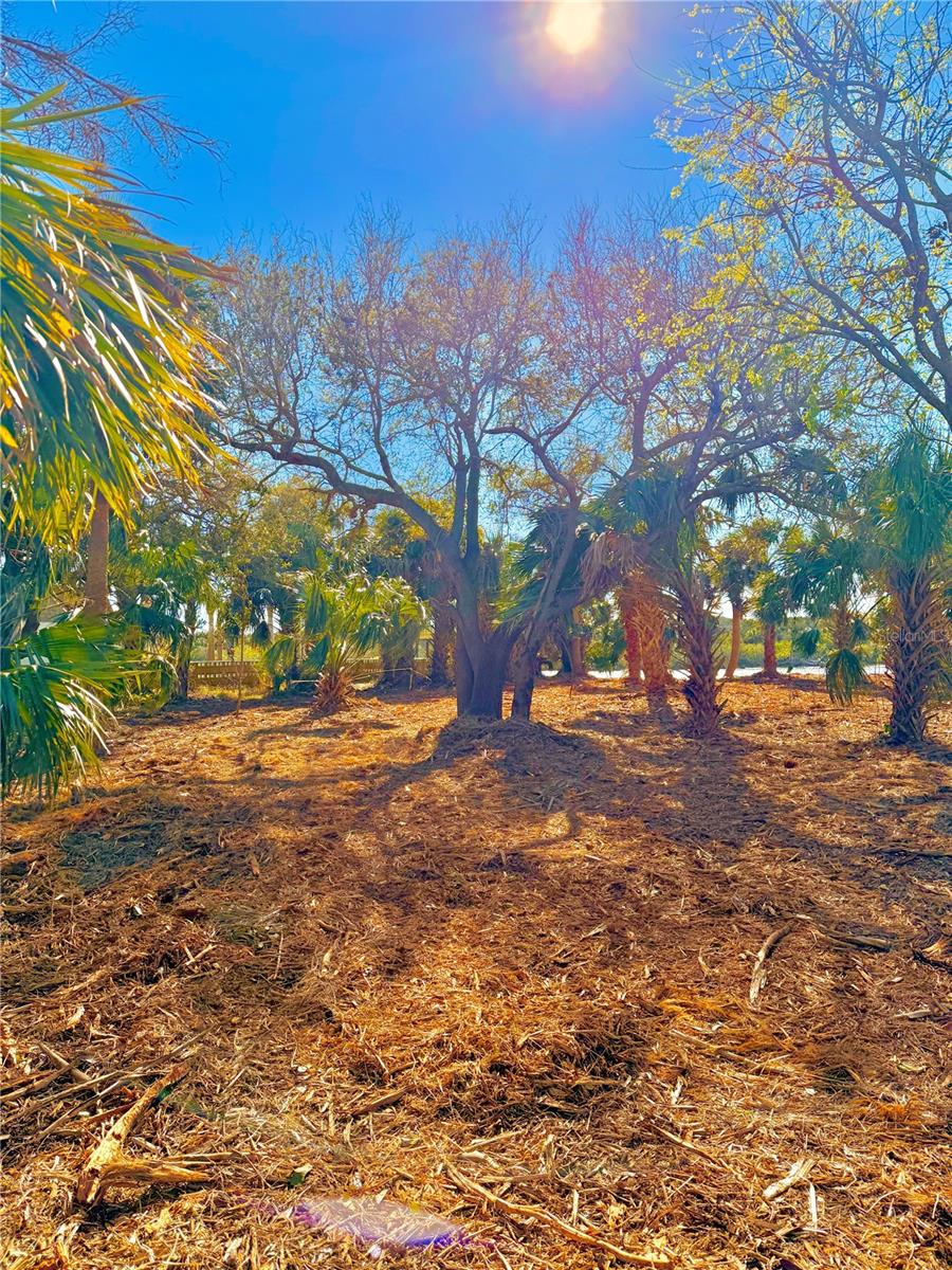 3668 JOHN ANDERSON DR, ORMOND BEACH, FL, 32176