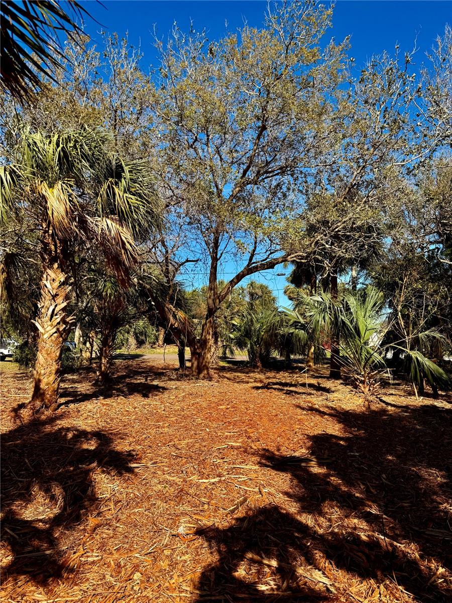 3668 JOHN ANDERSON DR, ORMOND BEACH, FL, 32176