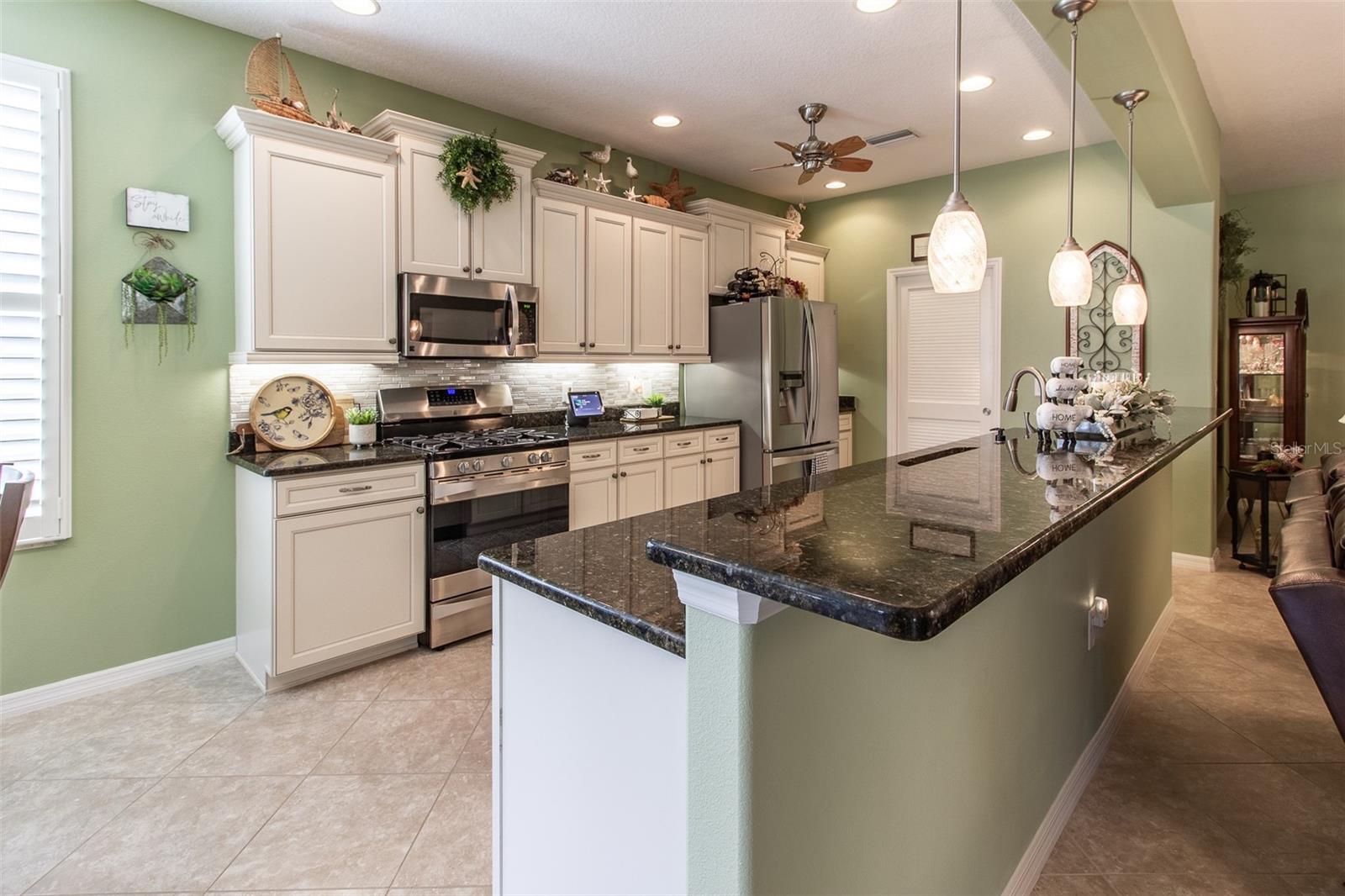 16123 SW 14TH AVENUE RD, OCALA, FL, 34473