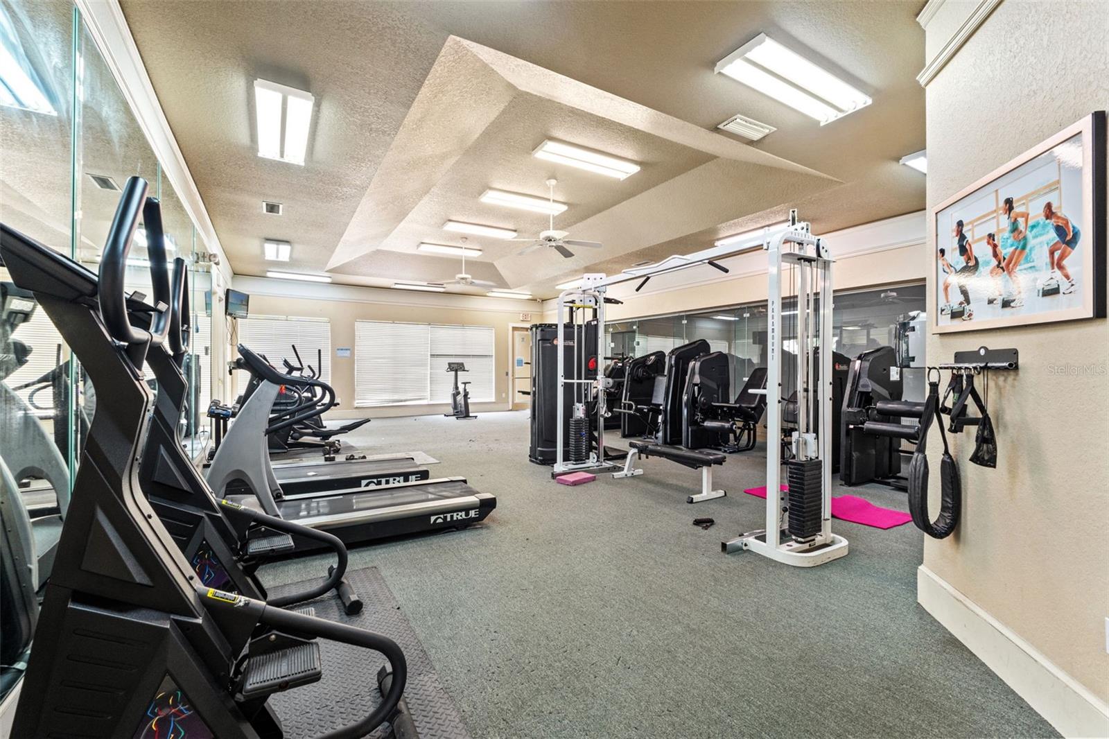 17108 CARRINGTON PARK DR #711, TAMPA, FL, 33647