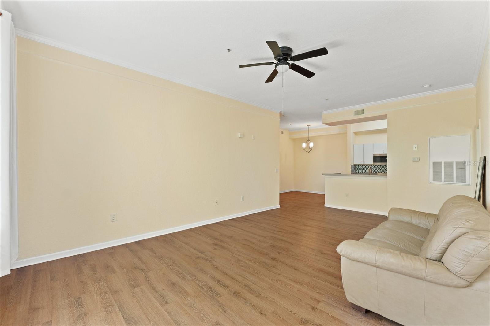 17108 CARRINGTON PARK DR #711, TAMPA, FL, 33647