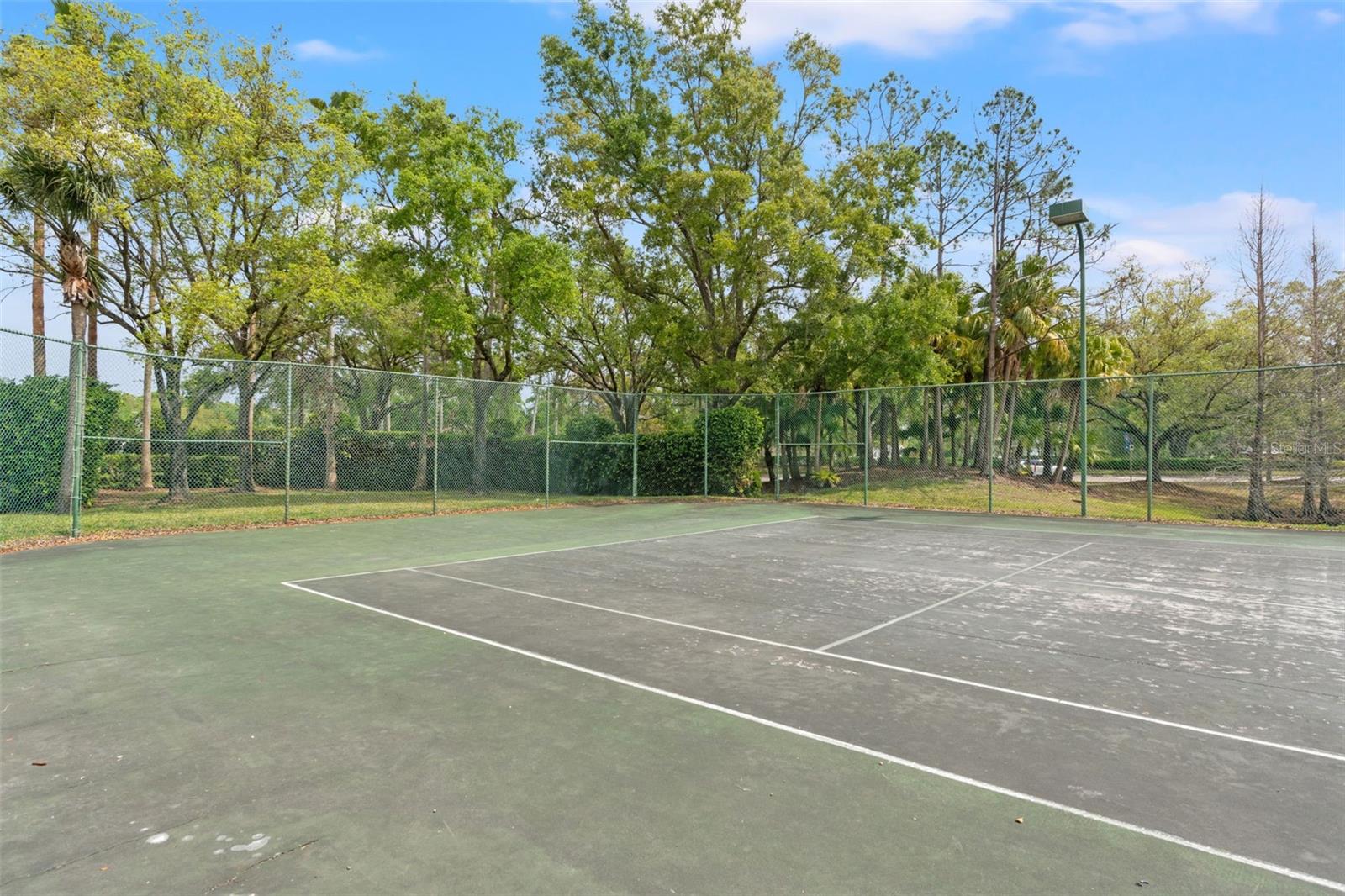 17108 CARRINGTON PARK DR #711, TAMPA, FL, 33647