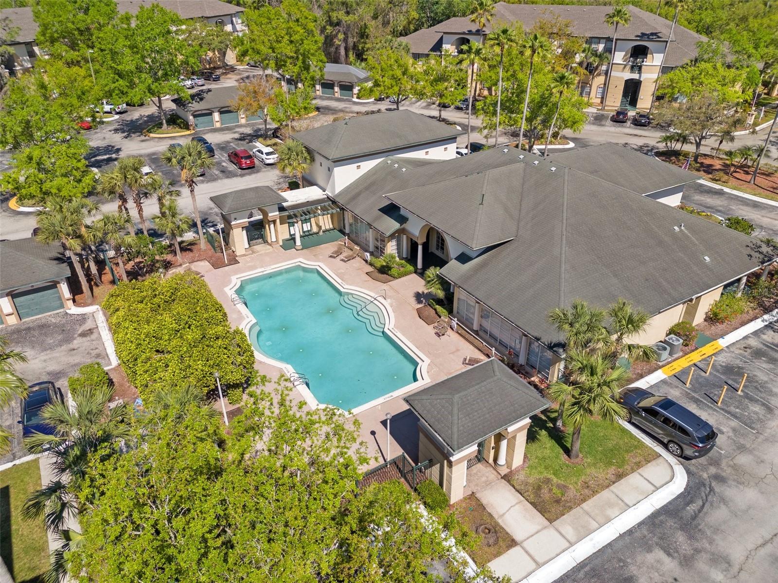 17108 CARRINGTON PARK DR #711, TAMPA, FL, 33647