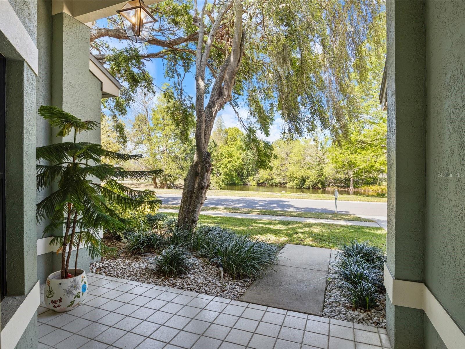 12 RIDGECROFT LN, SAFETY HARBOR, FL, 34695