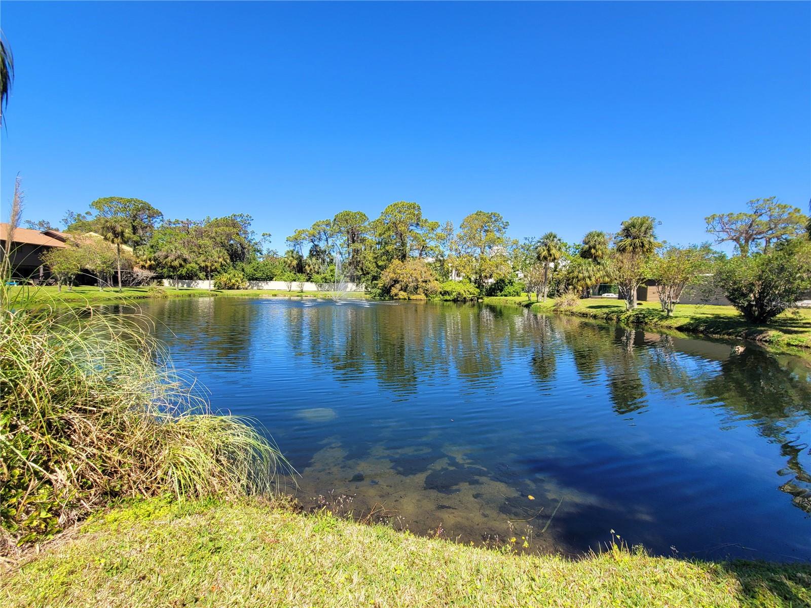 896 SUNRIDGE DR #896, SARASOTA, FL, 34234