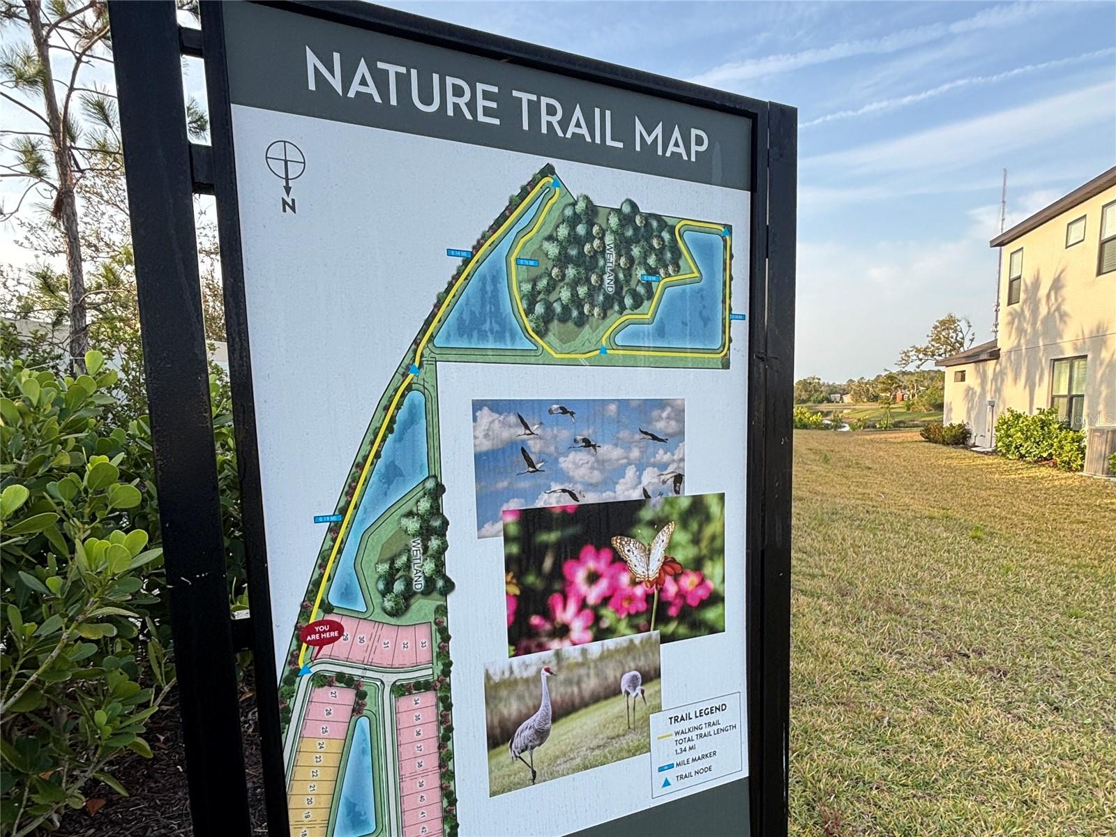 15349 ISLA PALMA LN, NOKOMIS, FL, 34275