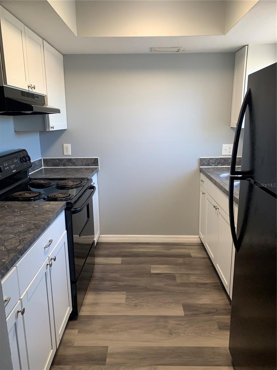 9501 LAKE PARK DR #9501, THONOTOSASSA, FL, 33592