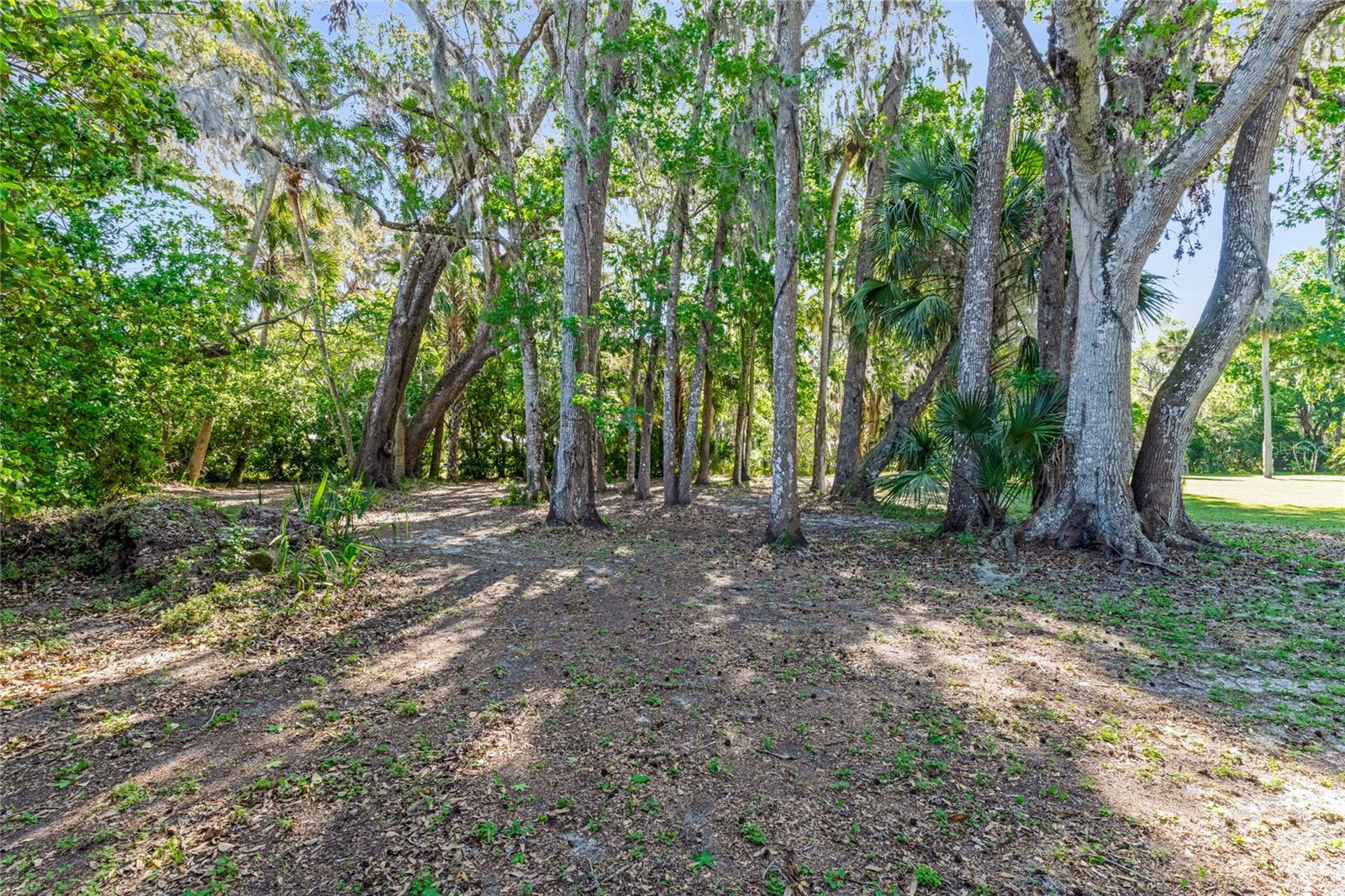 2111 OLD MISSION RD, NEW SMYRNA BEACH, FL, 32168