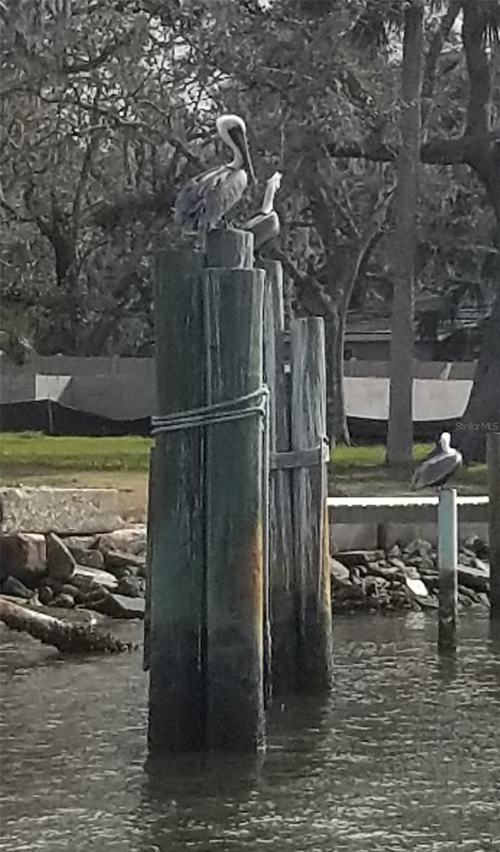 11 CHEYENNE CT, PALM COAST, FL, 32137