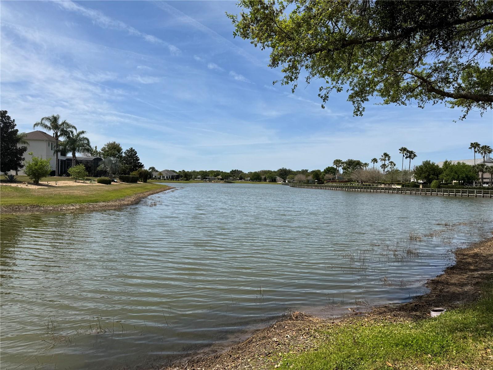 8165 BRIDGEPORT BAY CIR, MOUNT DORA, FL, 32757