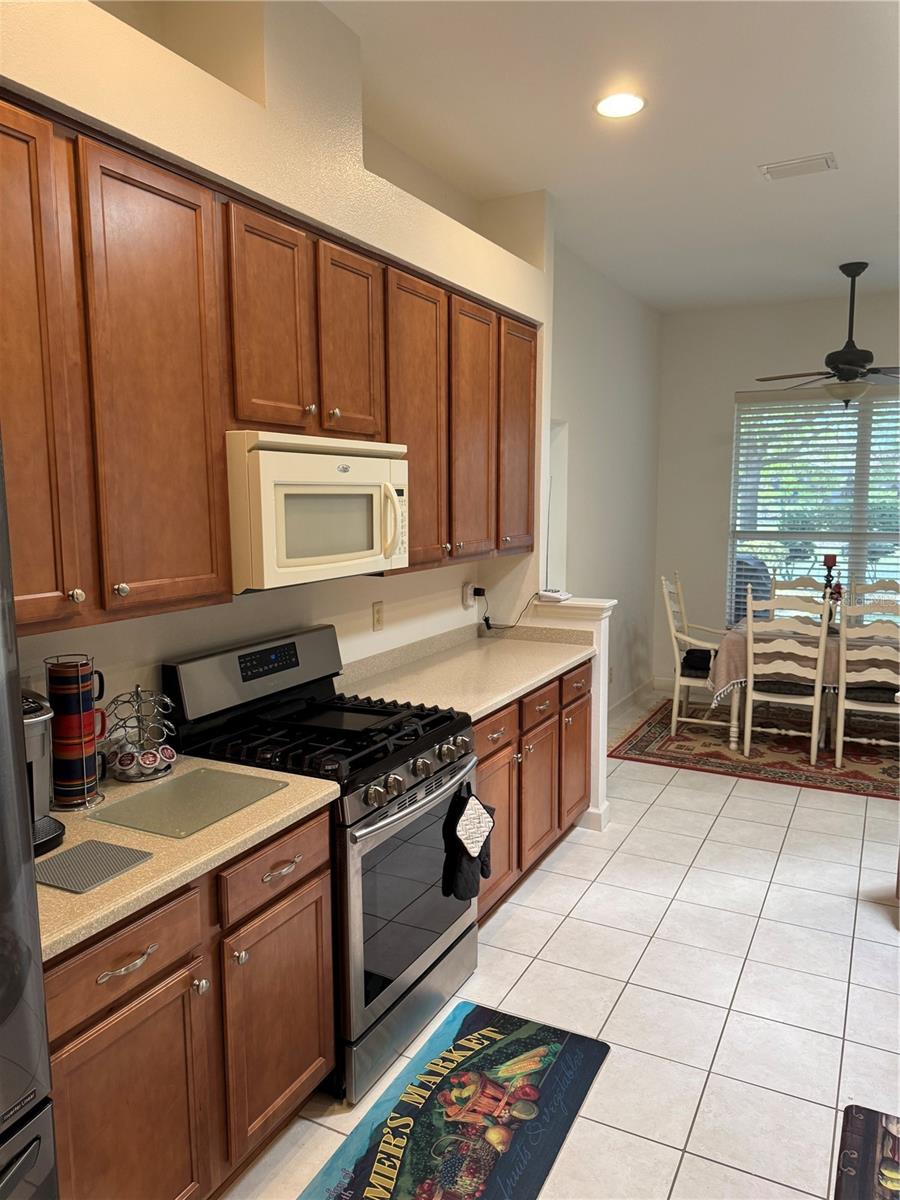 8165 BRIDGEPORT BAY CIR, MOUNT DORA, FL, 32757