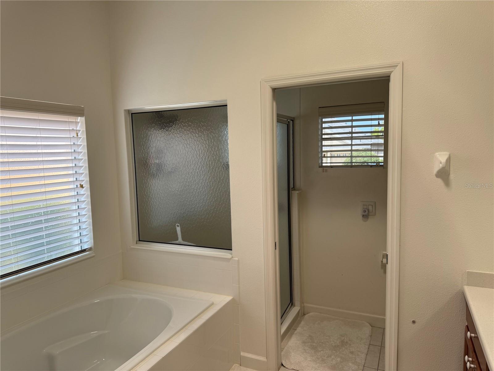 8165 BRIDGEPORT BAY CIR, MOUNT DORA, FL, 32757