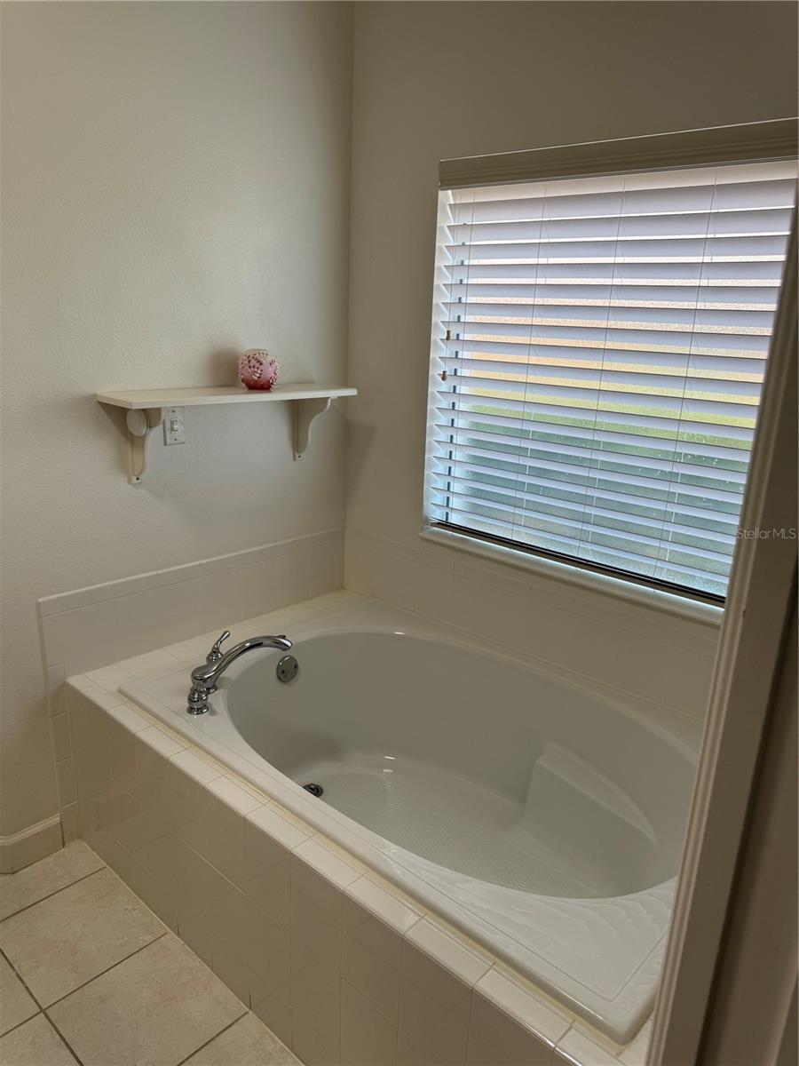 8165 BRIDGEPORT BAY CIR, MOUNT DORA, FL, 32757