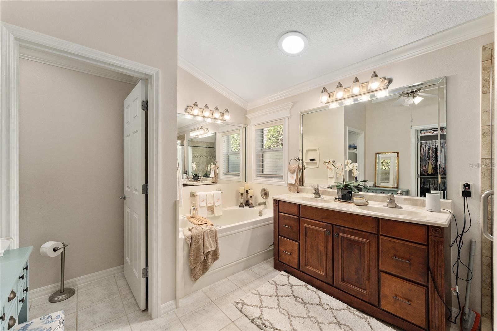 17089 SE 79TH CLEARVIEW AVE, THE VILLAGES, FL, 32162