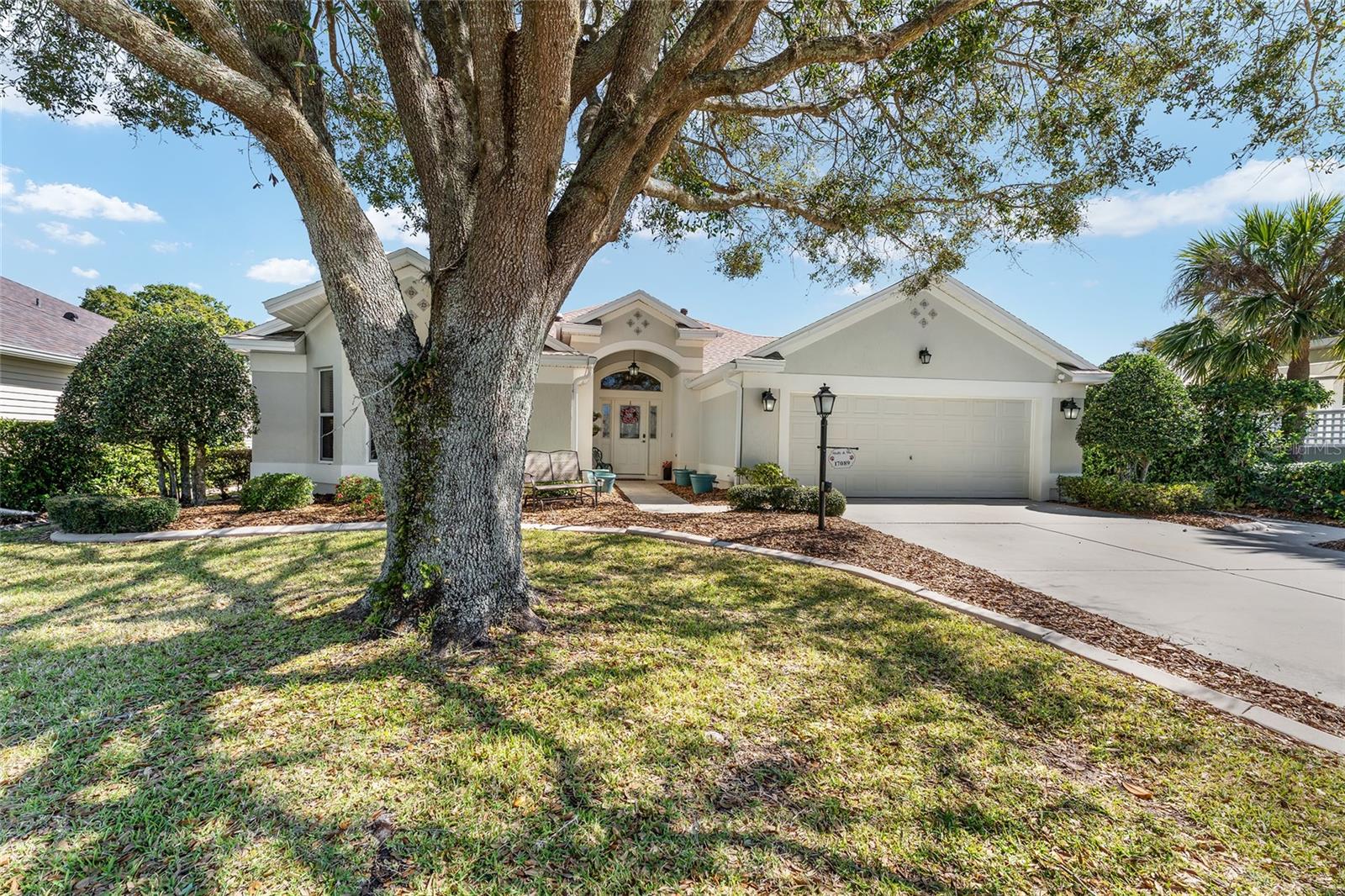 17089 SE 79TH CLEARVIEW AVE, THE VILLAGES, FL, 32162