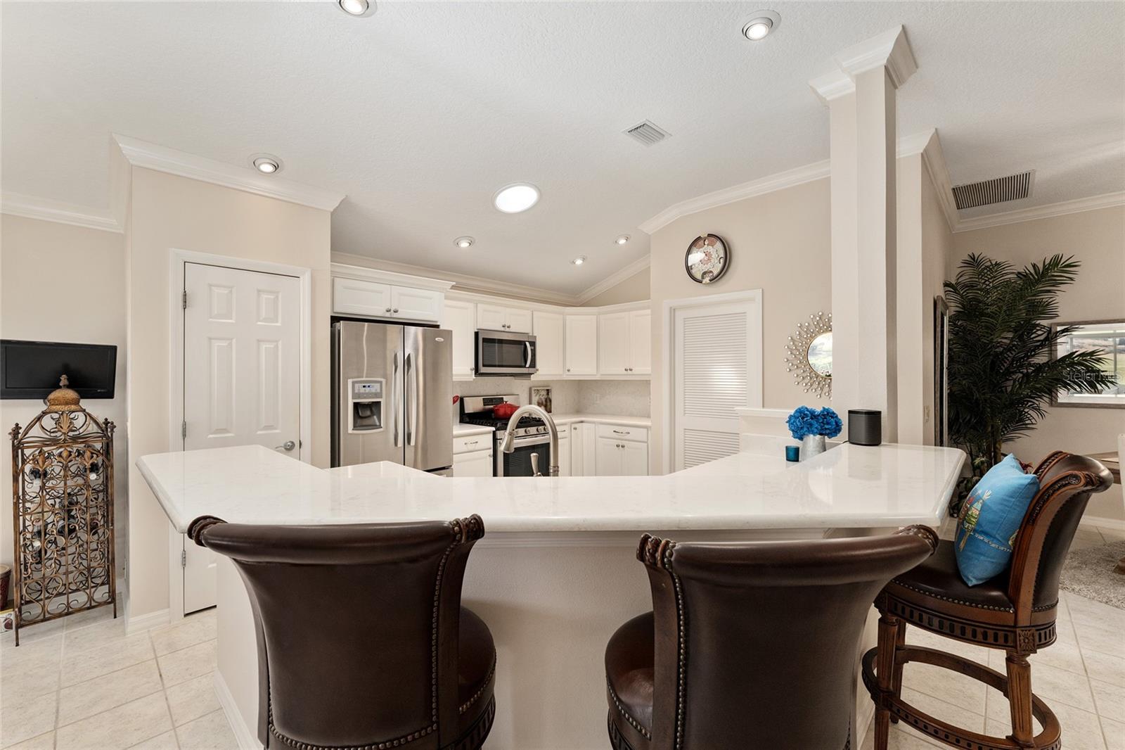 17089 SE 79TH CLEARVIEW AVE, THE VILLAGES, FL, 32162