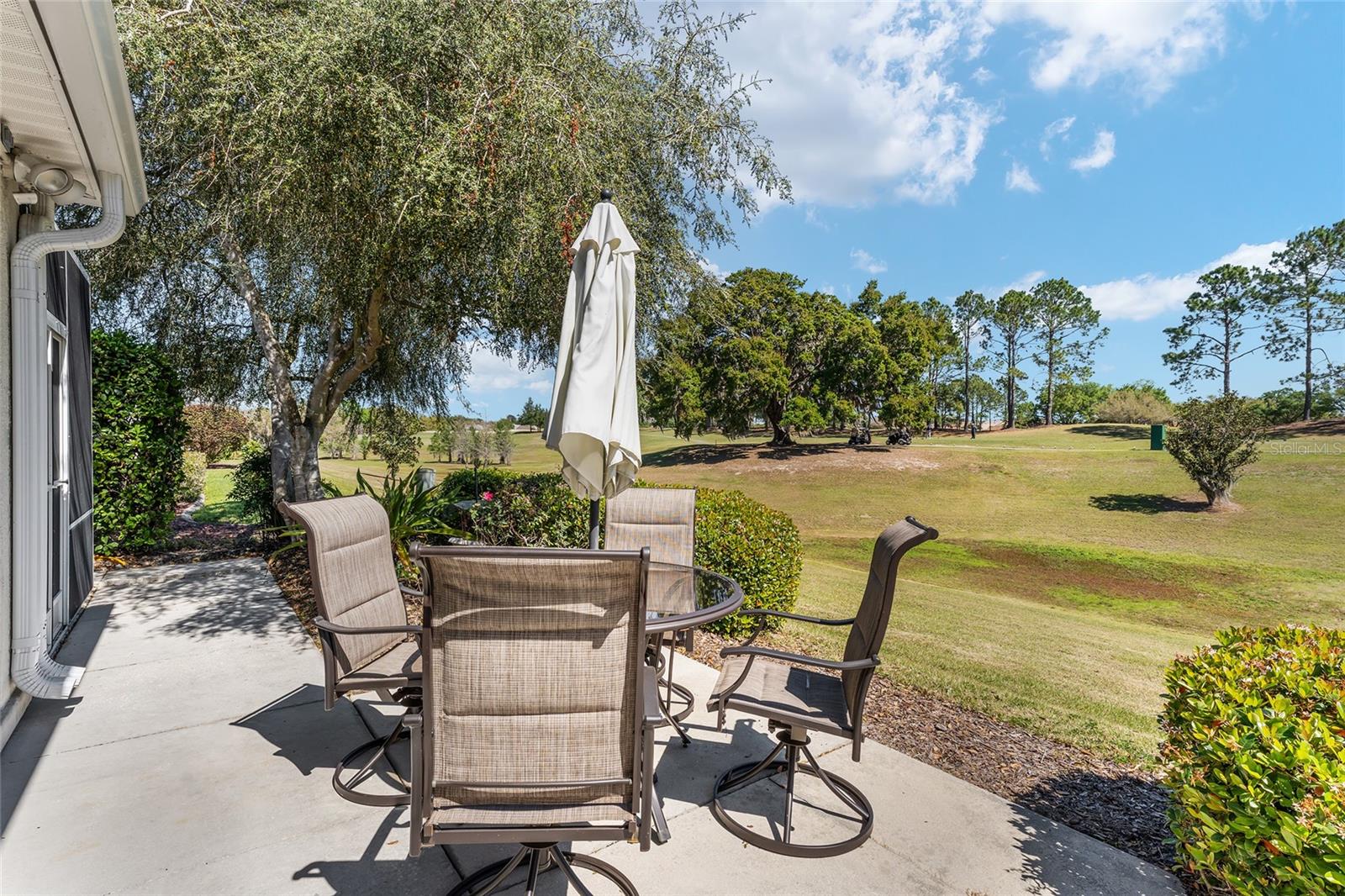 17089 SE 79TH CLEARVIEW AVE, THE VILLAGES, FL, 32162
