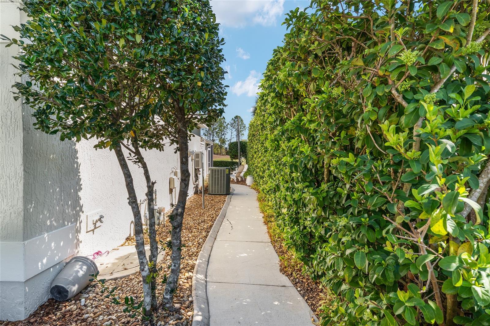 17089 SE 79TH CLEARVIEW AVE, THE VILLAGES, FL, 32162