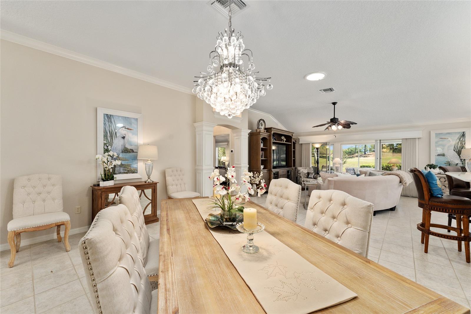 17089 SE 79TH CLEARVIEW AVE, THE VILLAGES, FL, 32162