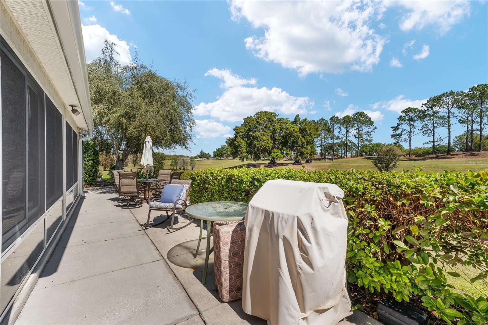 17089 SE 79TH CLEARVIEW AVE, THE VILLAGES, FL, 32162
