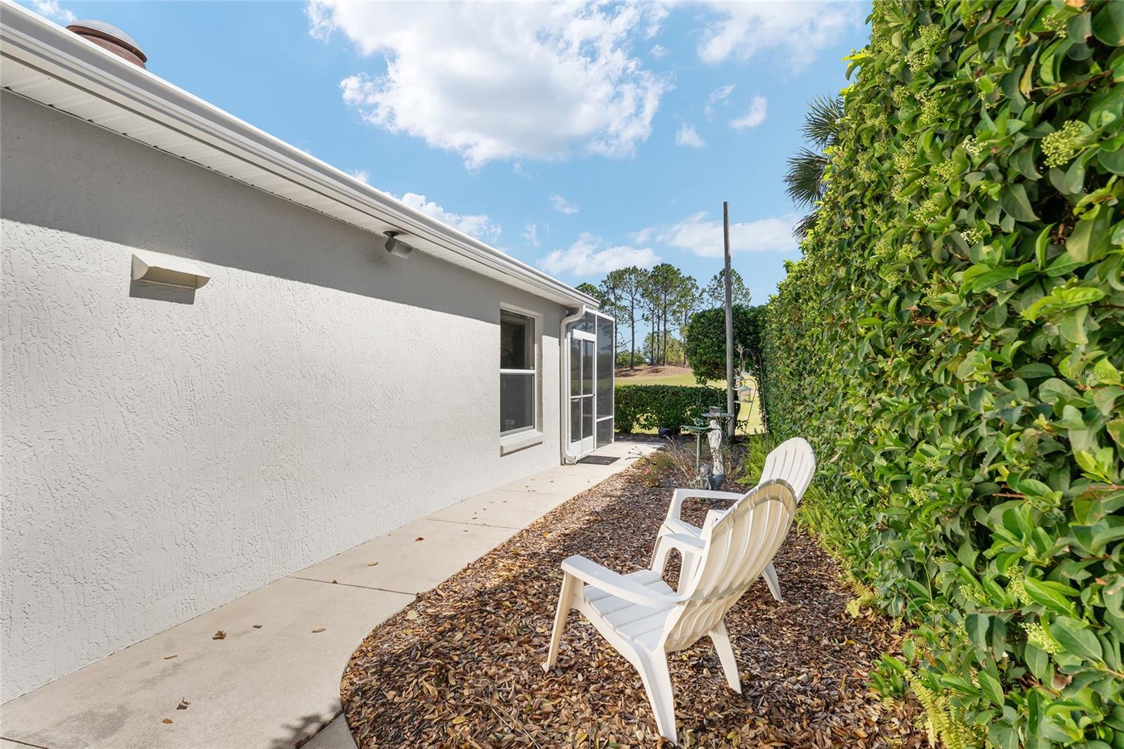 17089 SE 79TH CLEARVIEW AVE, THE VILLAGES, FL, 32162