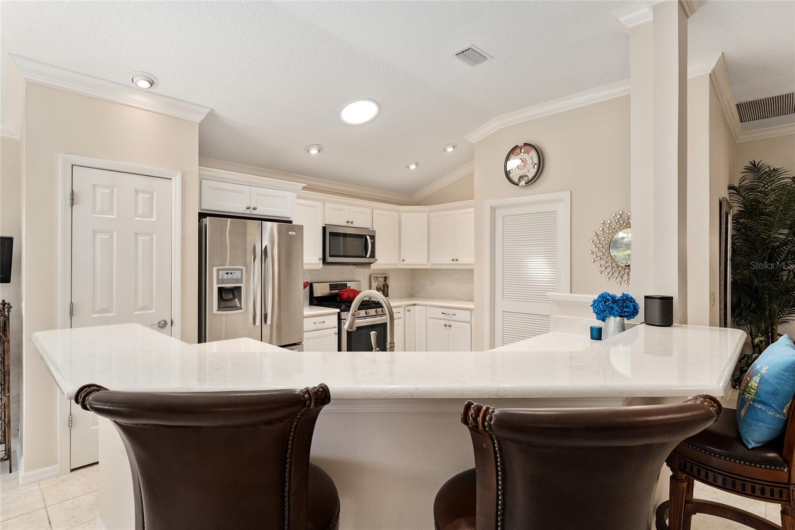 17089 SE 79TH CLEARVIEW AVE, THE VILLAGES, FL, 32162