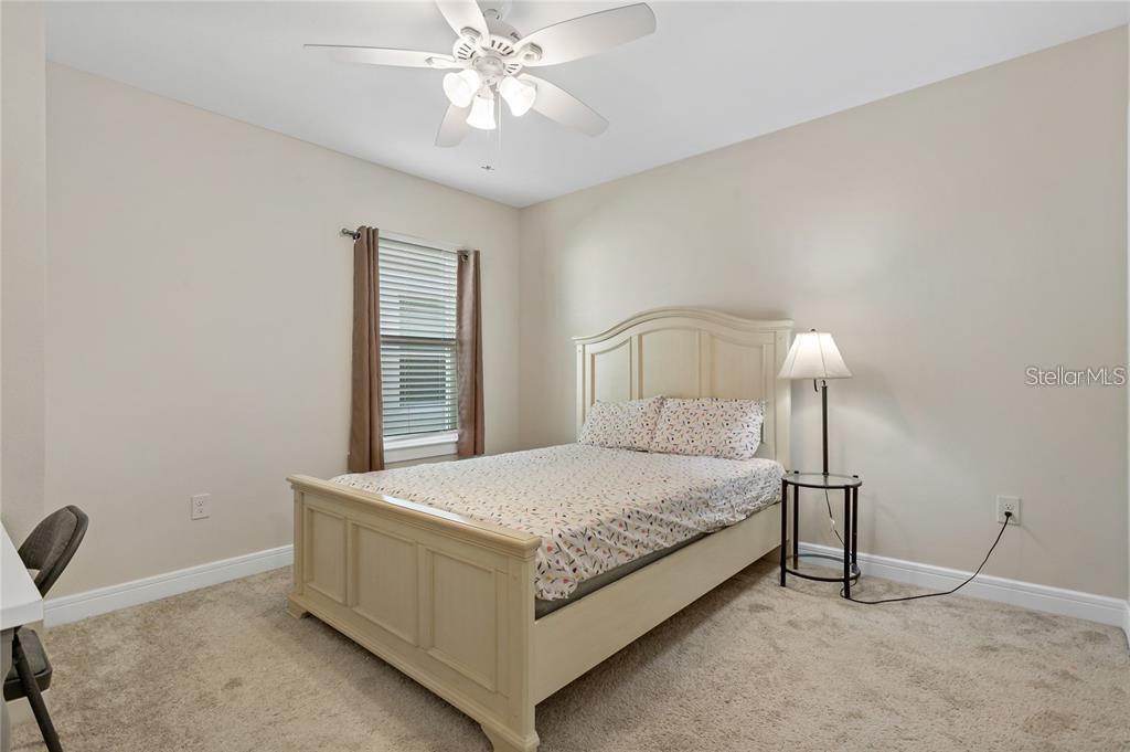 30555 THUNDERBIRD DR, WESLEY CHAPEL, FL, 33545