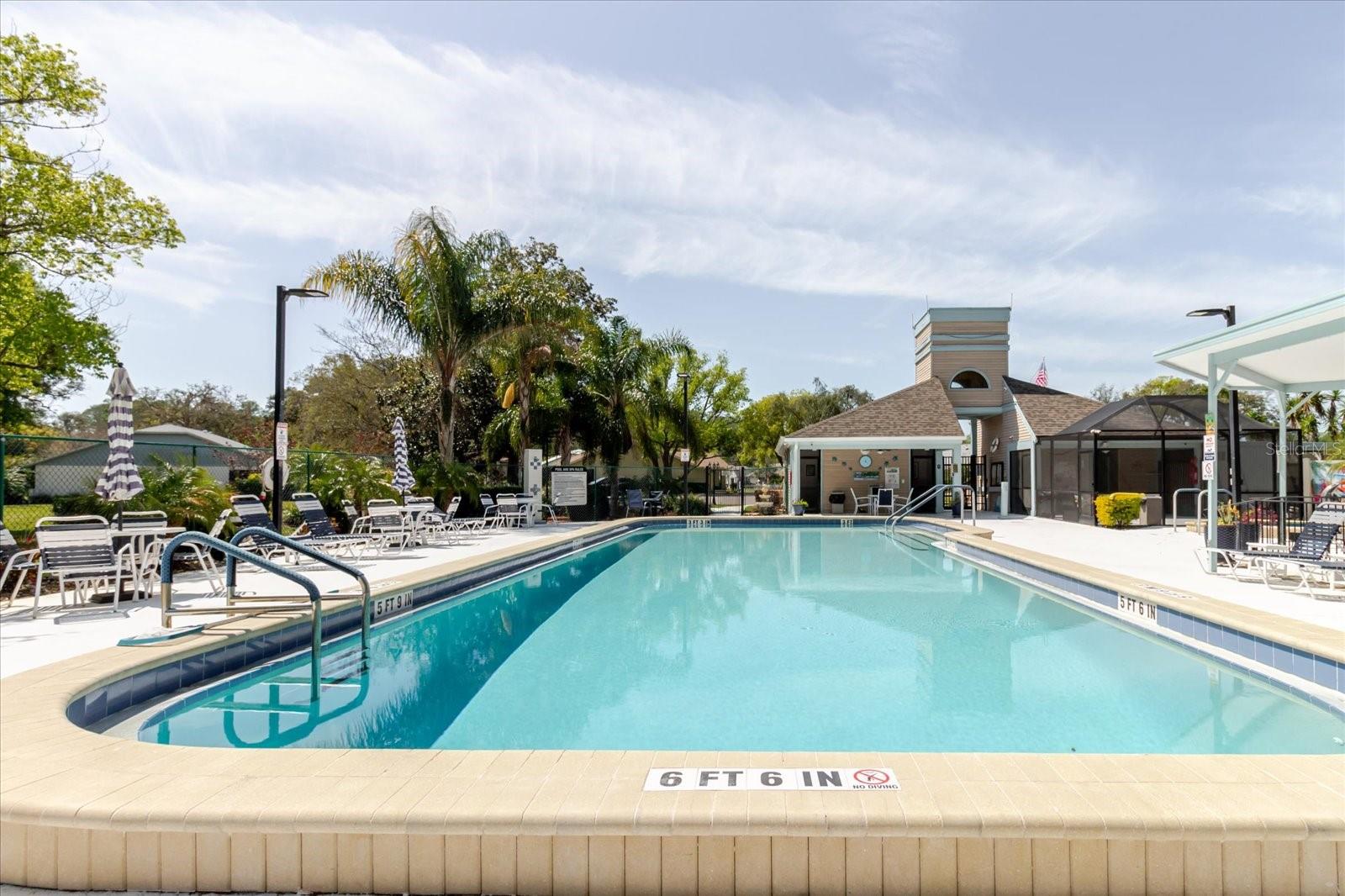 11521 ROSE TREE DR, NEW PORT RICHEY, FL, 34654