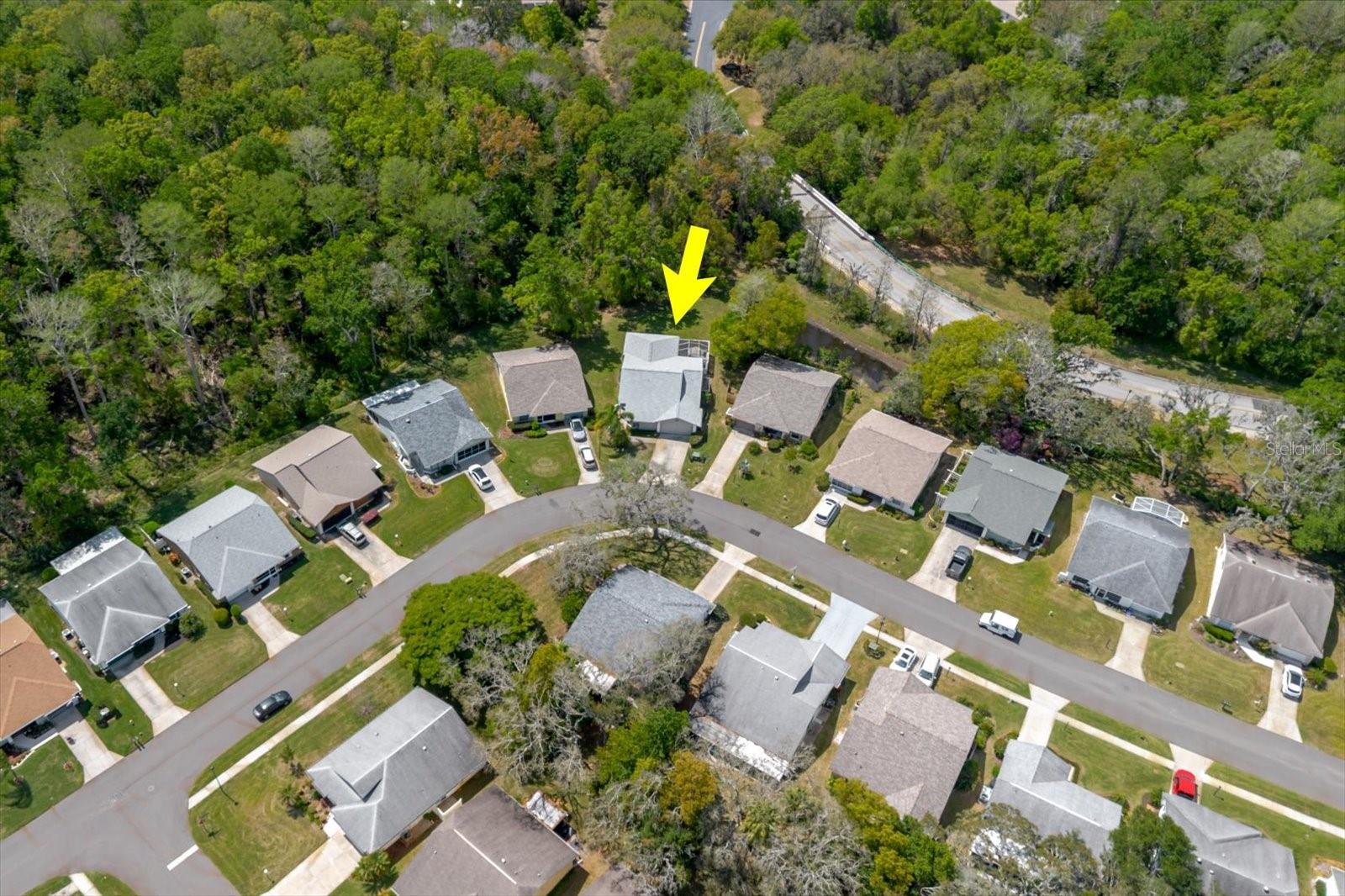 11521 ROSE TREE DR, NEW PORT RICHEY, FL, 34654