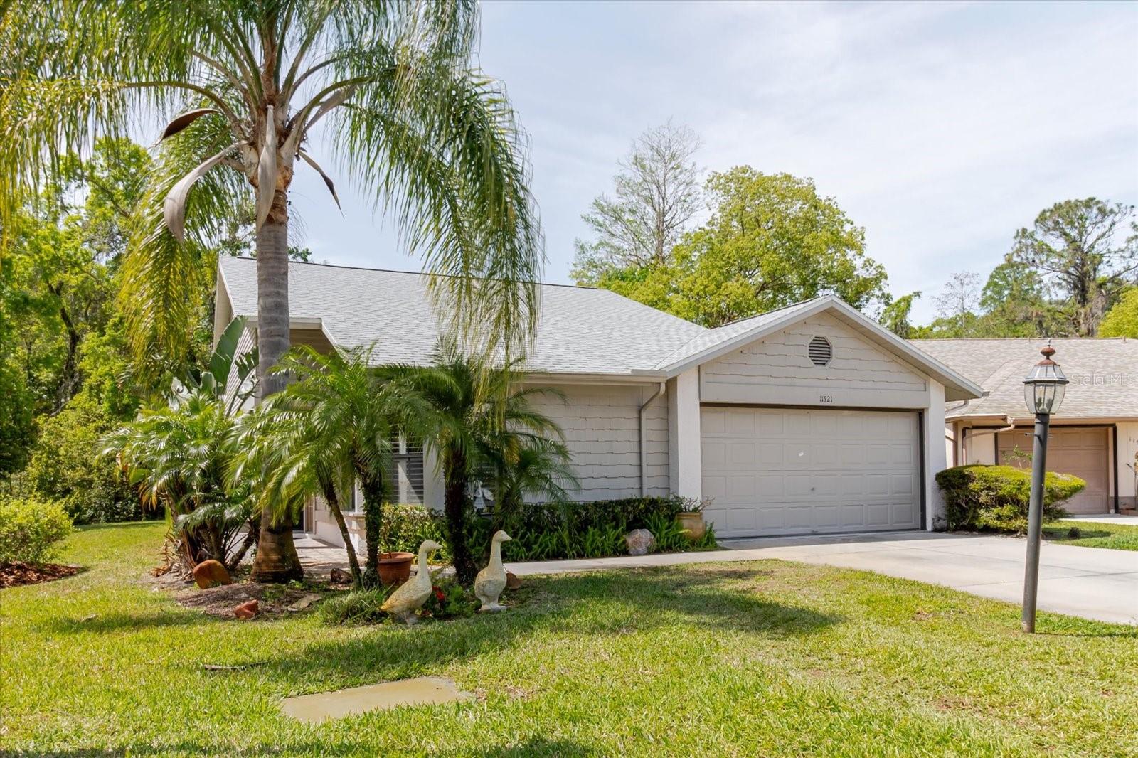 11521 ROSE TREE DR, NEW PORT RICHEY, FL, 34654