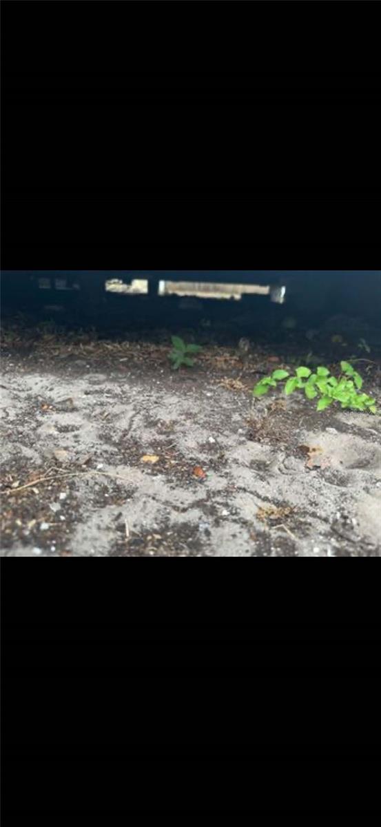 606 W YUKON ST, TAMPA, FL, 33604