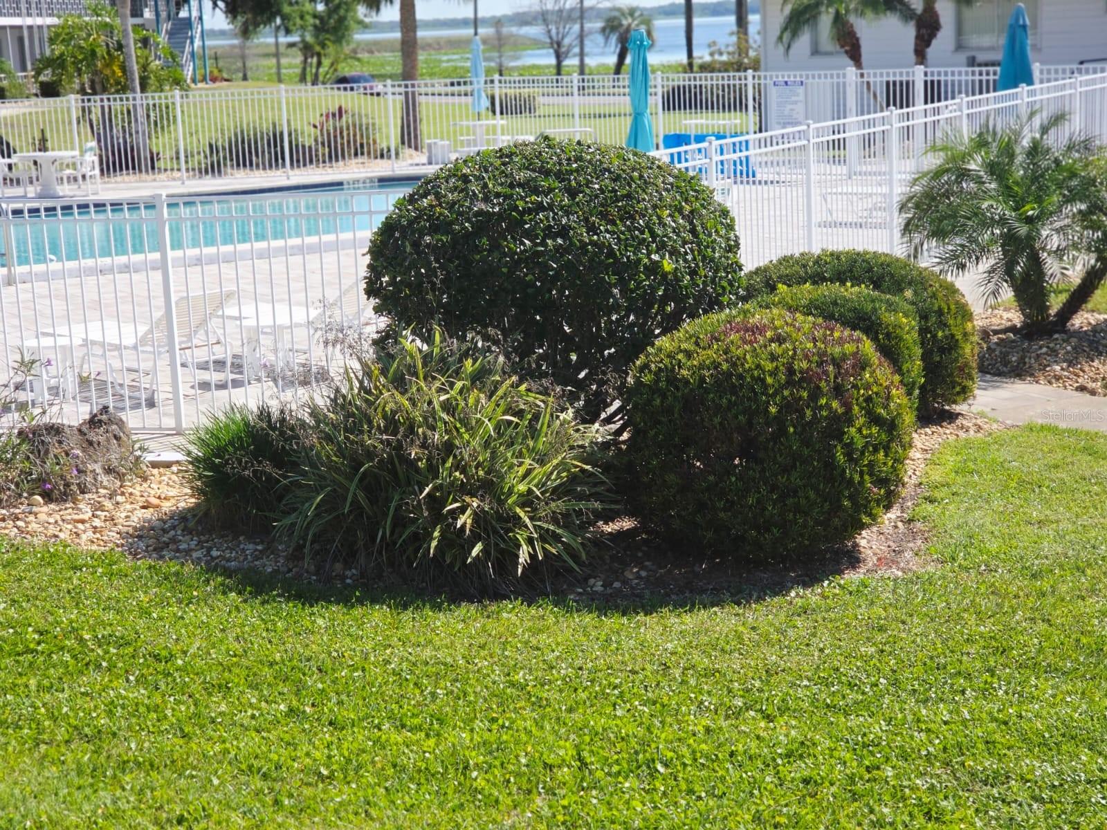 1600 W LAKE PARKER DR #D5, LAKELAND, FL, 33805