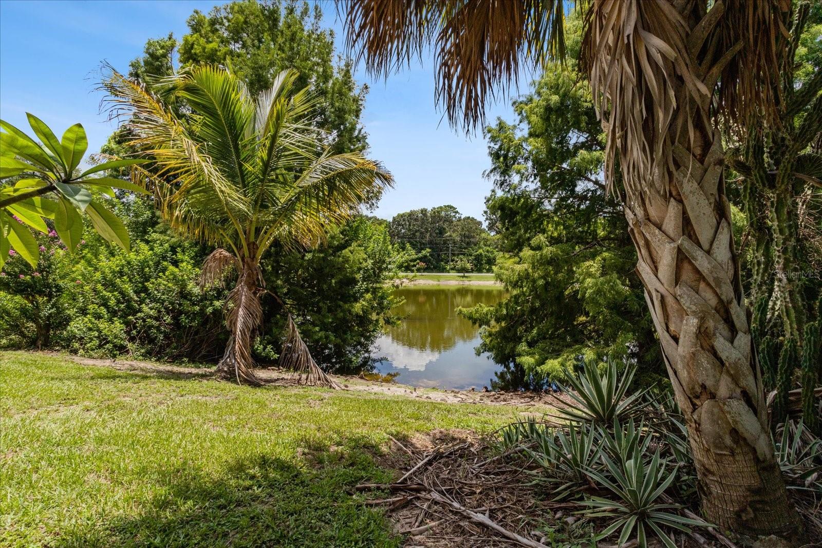 205 NE COUNTRY LANE #205, WINTER HAVEN, FL, 33881