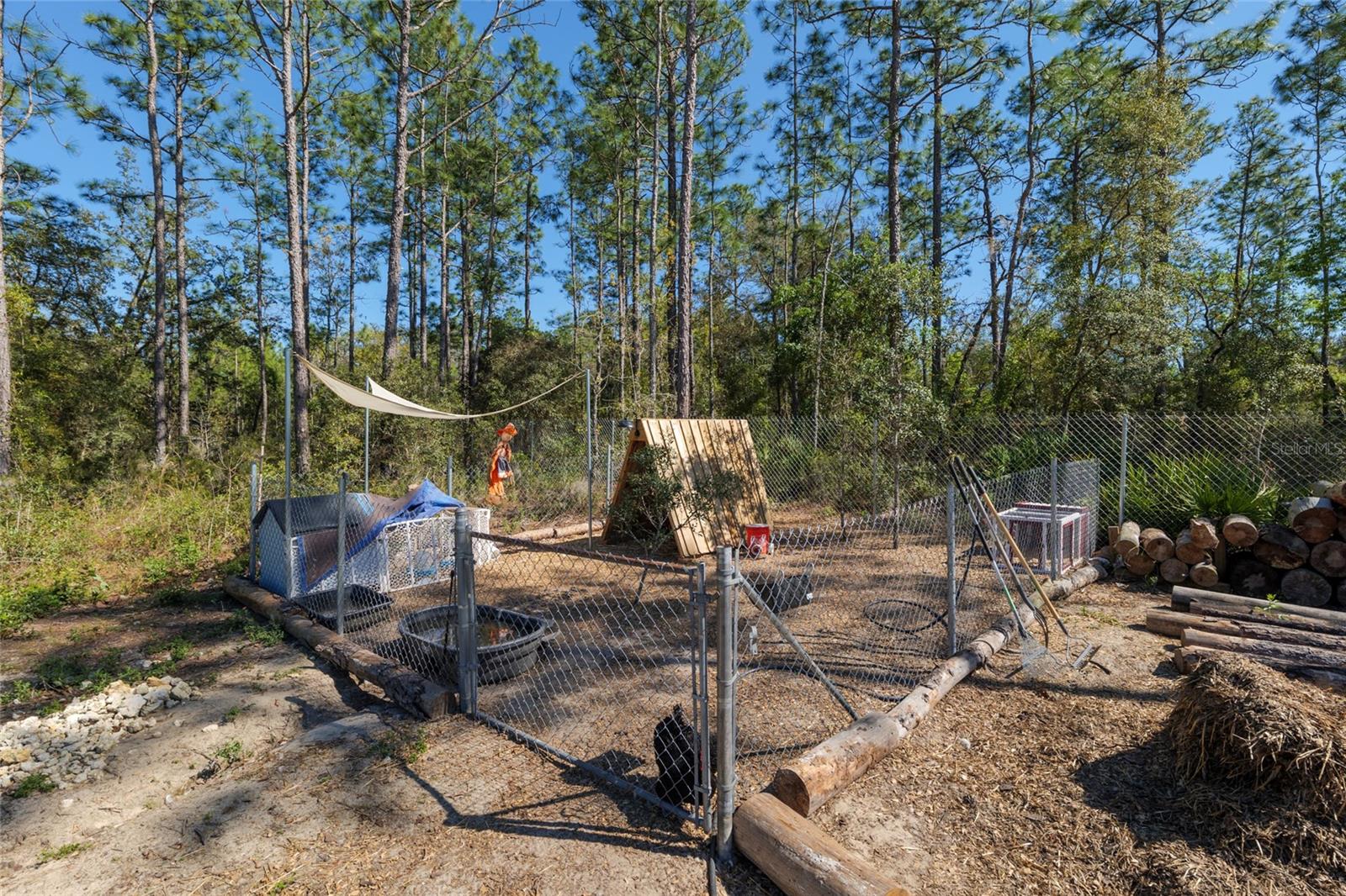 3055 SW 166TH COURT RD, OCALA, FL, 34481