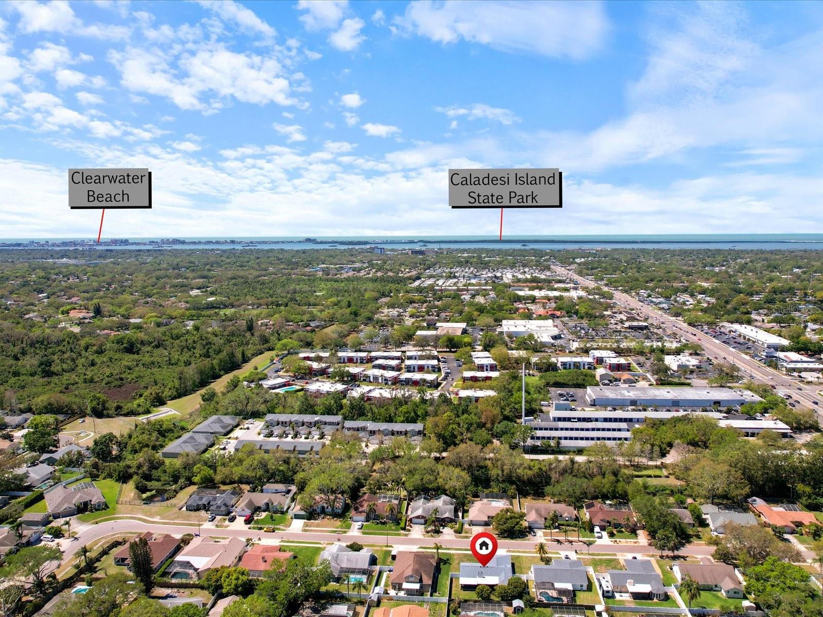 2642 BELLHURST DR, DUNEDIN, FL, 34698