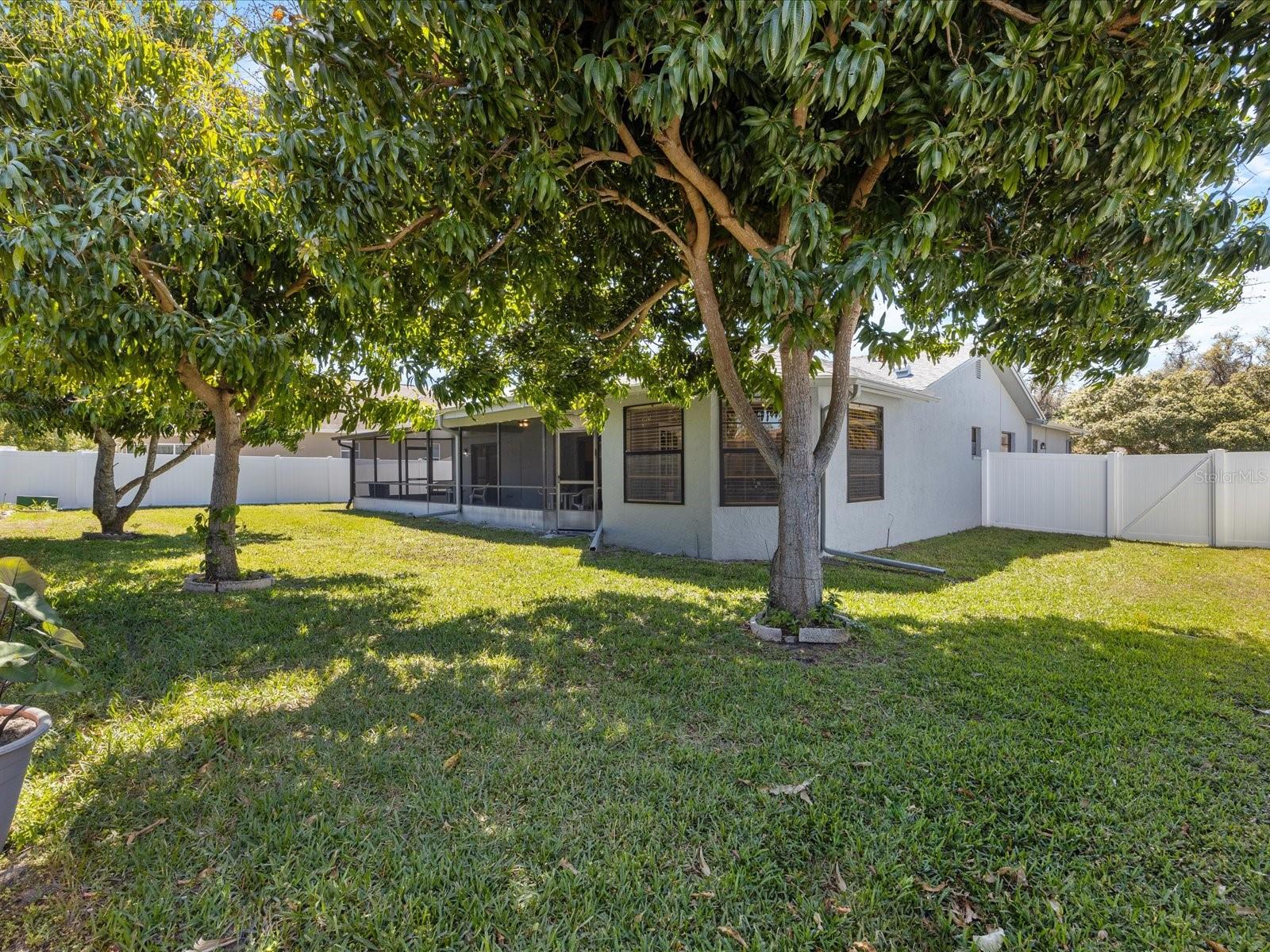 2642 BELLHURST DR, DUNEDIN, FL, 34698