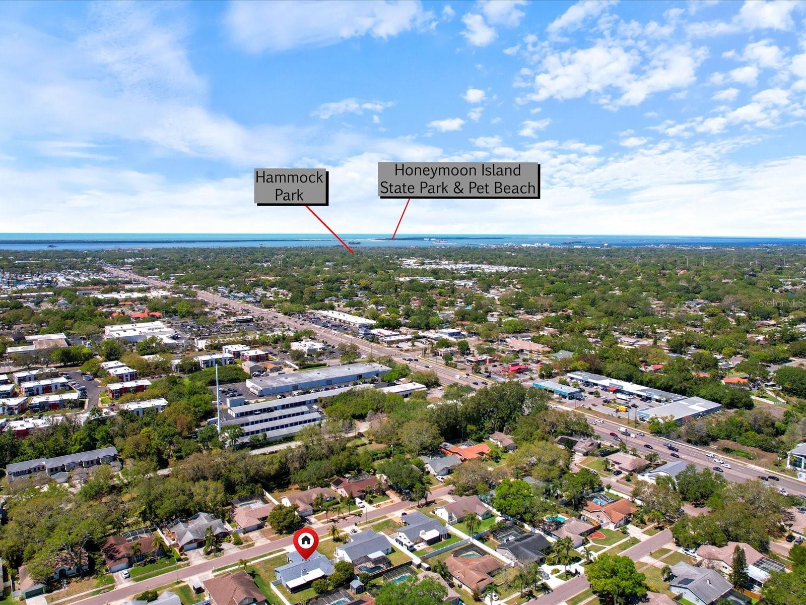 2642 BELLHURST DR, DUNEDIN, FL, 34698