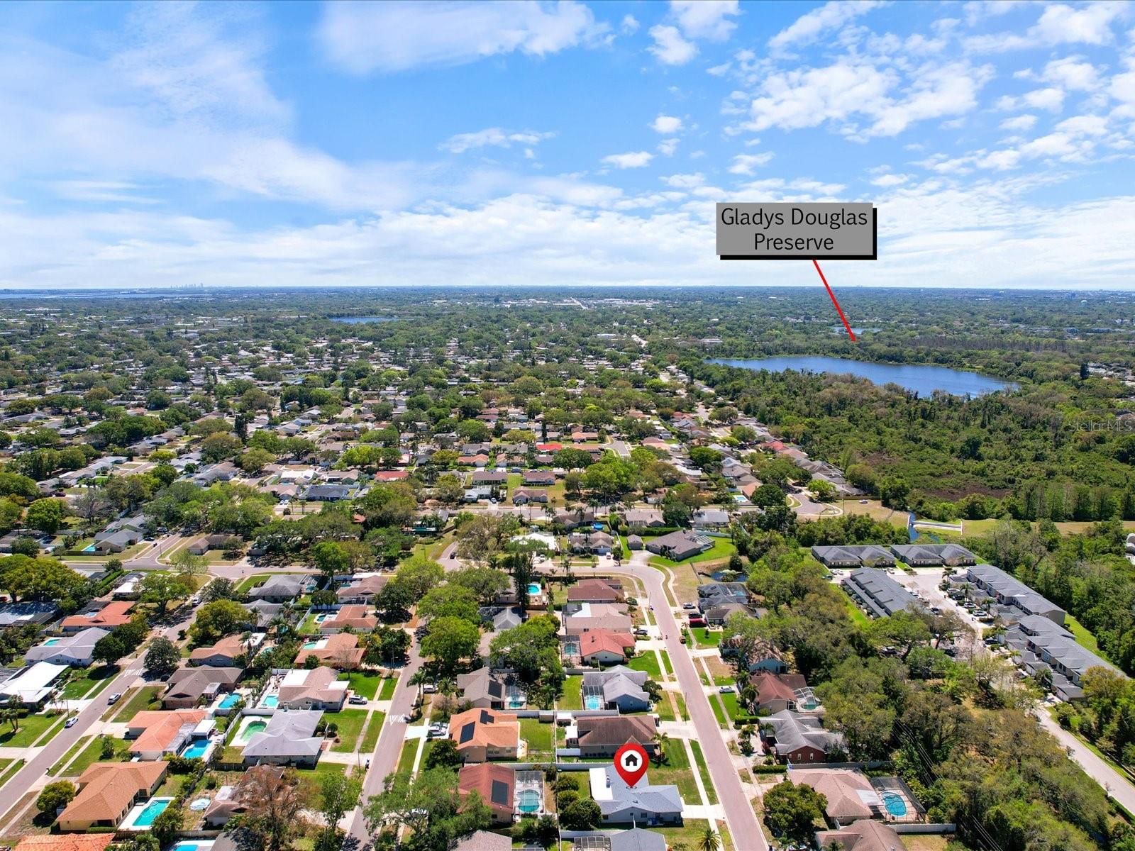 2642 BELLHURST DR, DUNEDIN, FL, 34698