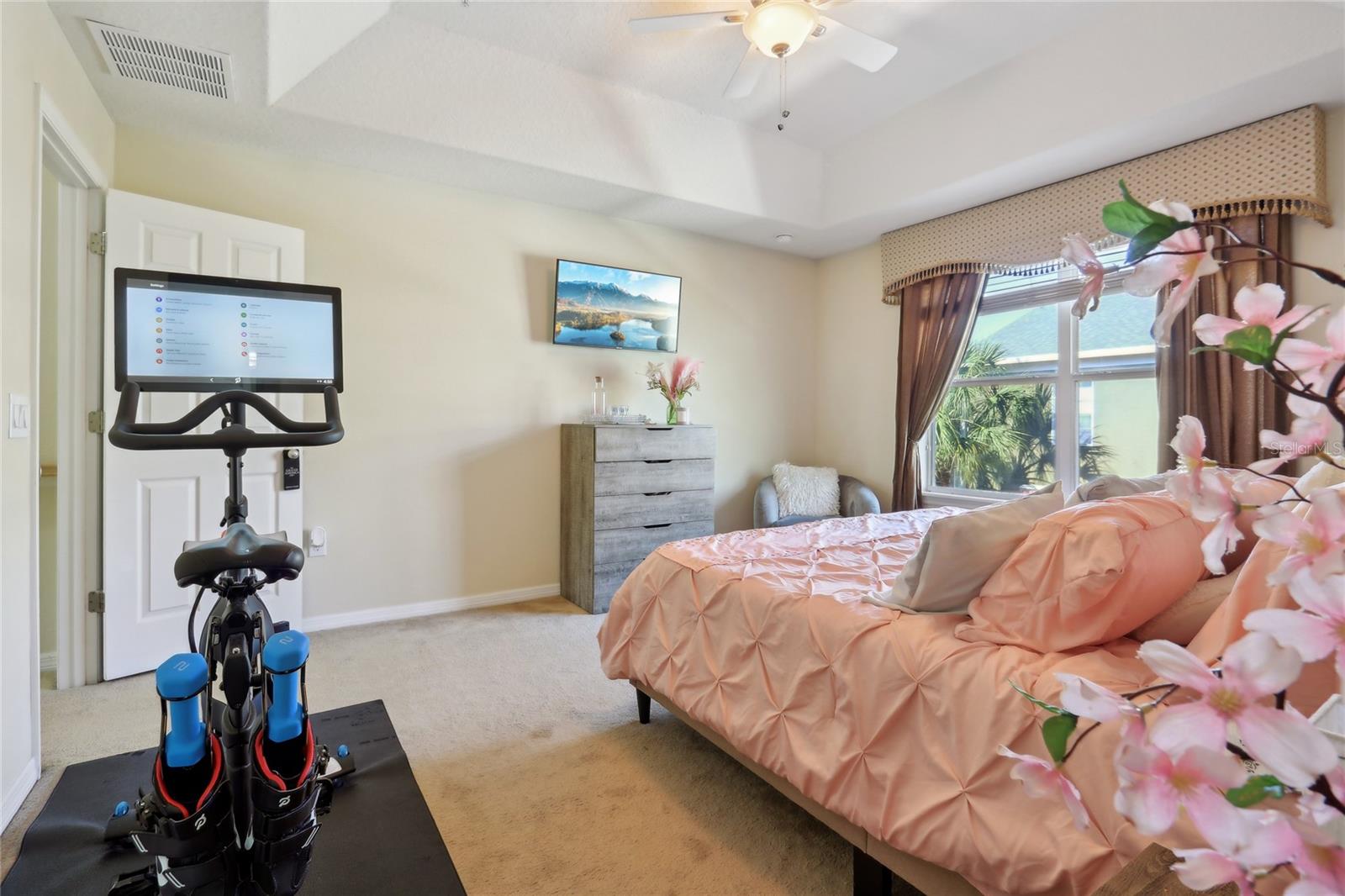 9535 SILVER BUTTONWOOD ST, ORLANDO, FL, 32832