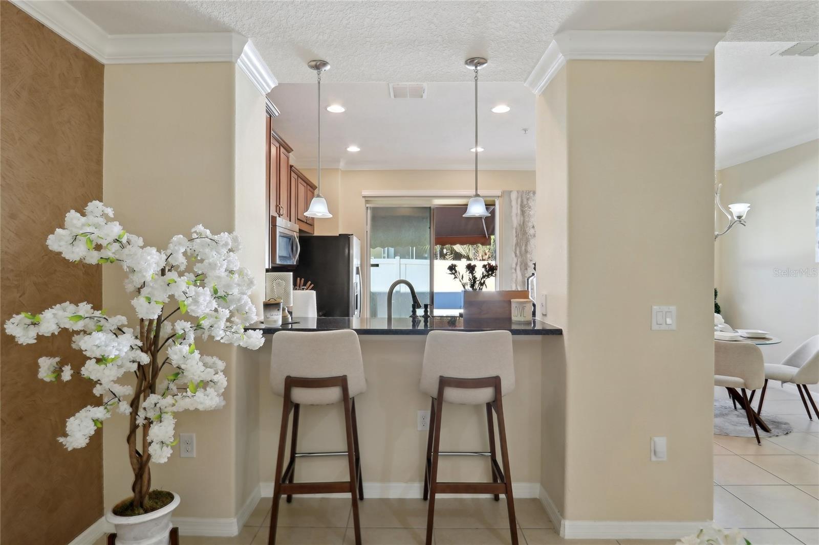 9535 SILVER BUTTONWOOD ST, ORLANDO, FL, 32832