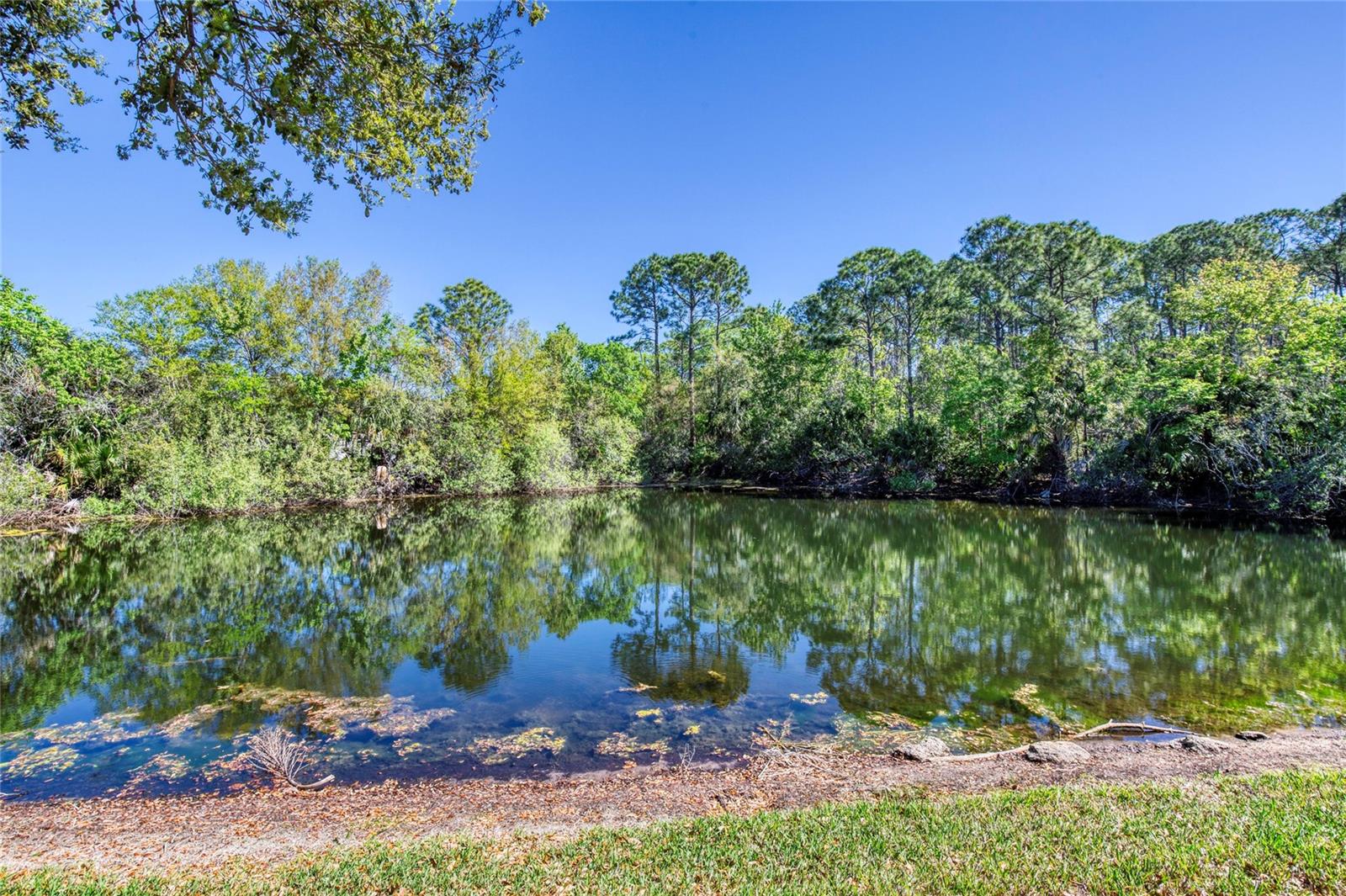 6172 KNOTTY PINE CT, PORT ORANGE, FL, 32127