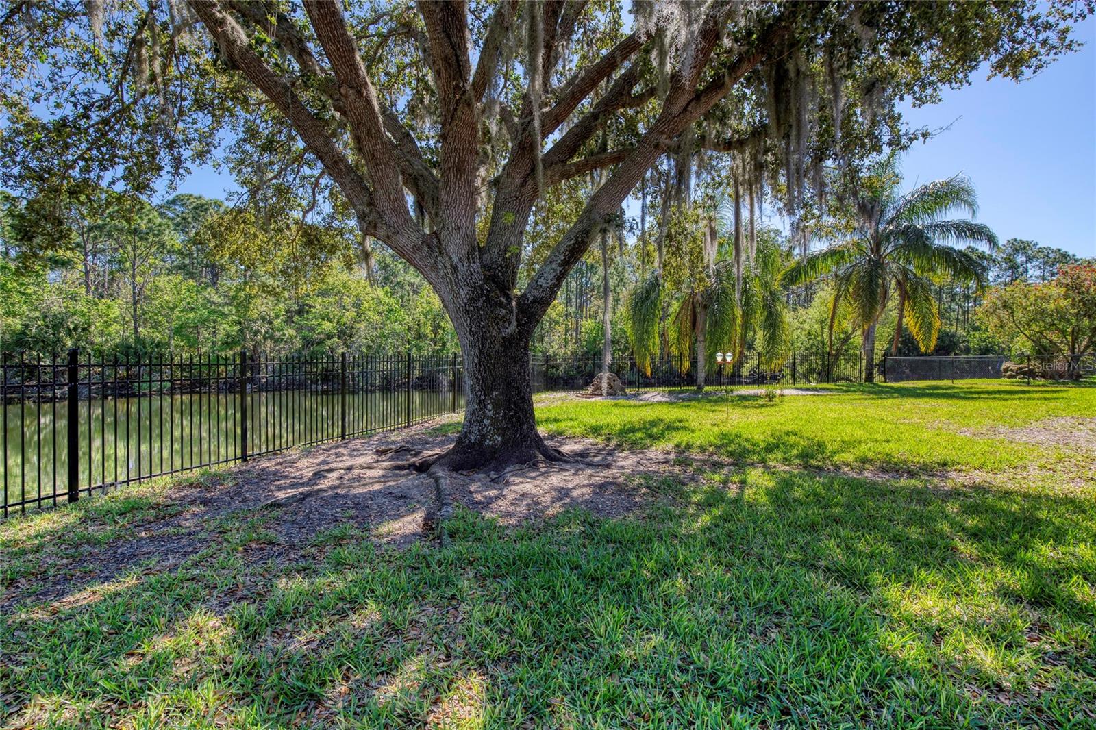 6172 KNOTTY PINE CT, PORT ORANGE, FL, 32127