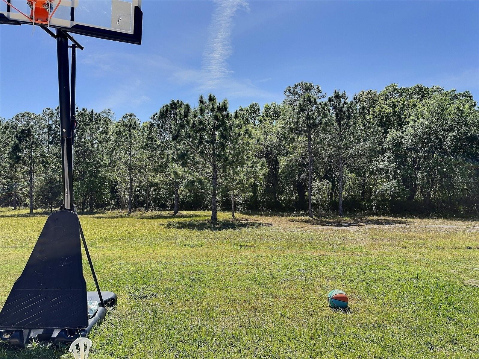 1851 GOBLET COVE ST, KISSIMMEE, FL, 34746