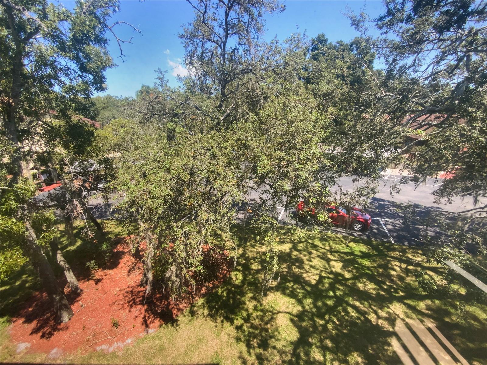 7741 FOREST TRL #7, PORT RICHEY, FL, 34668