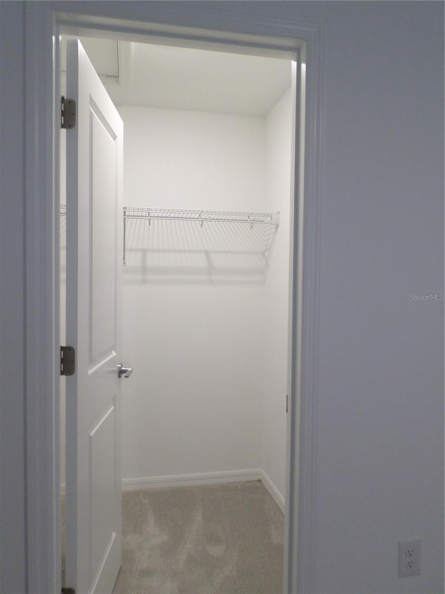 2118 HALLIER CV, WESLEY CHAPEL, FL, 33543