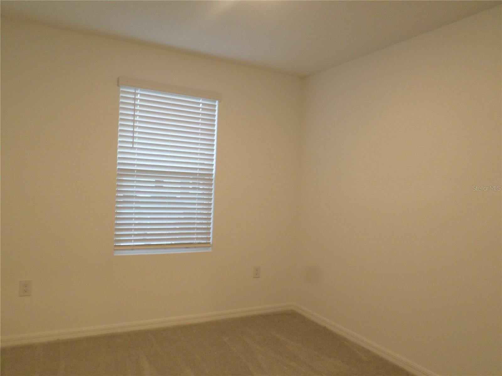 2118 HALLIER CV, WESLEY CHAPEL, FL, 33543
